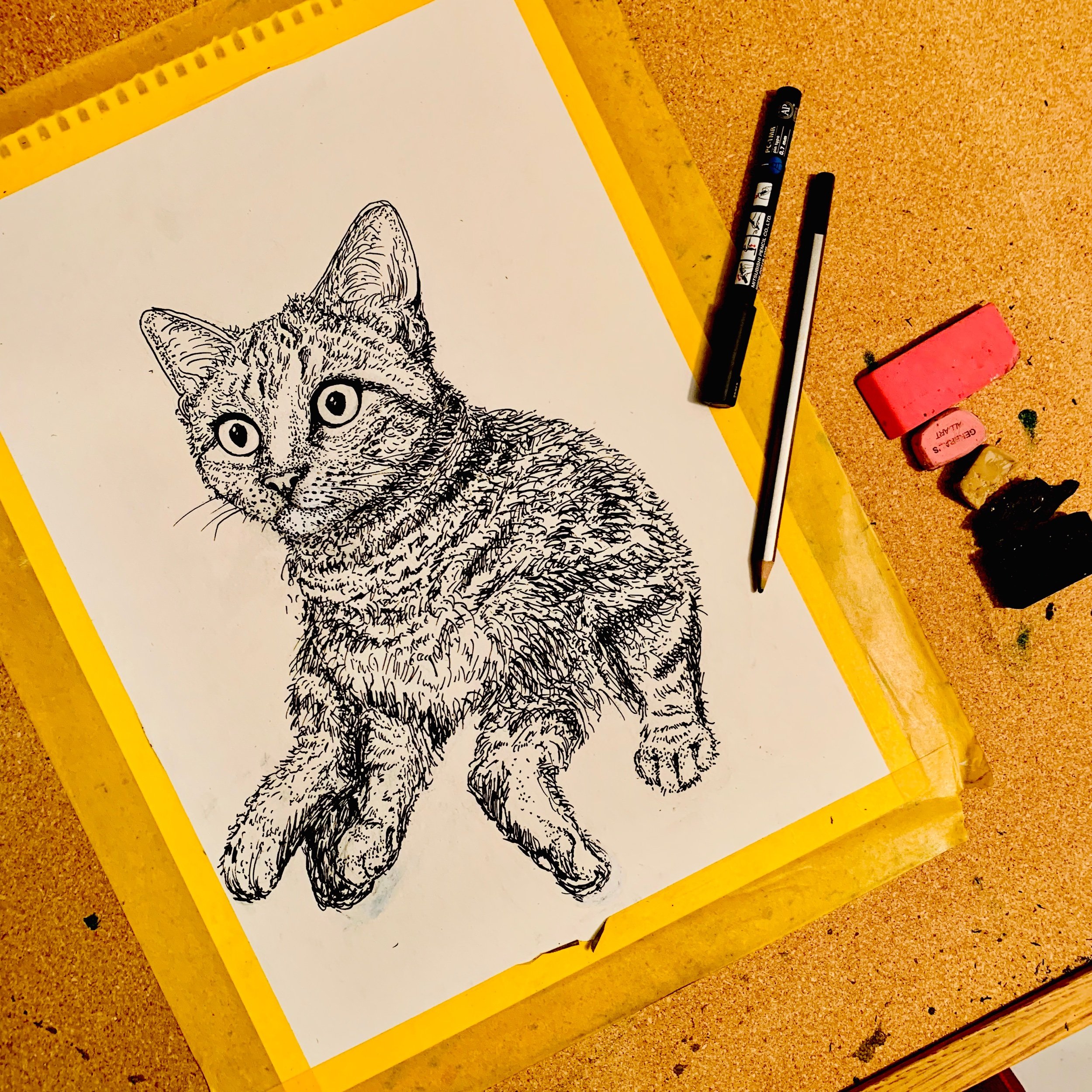 pet portrait commission