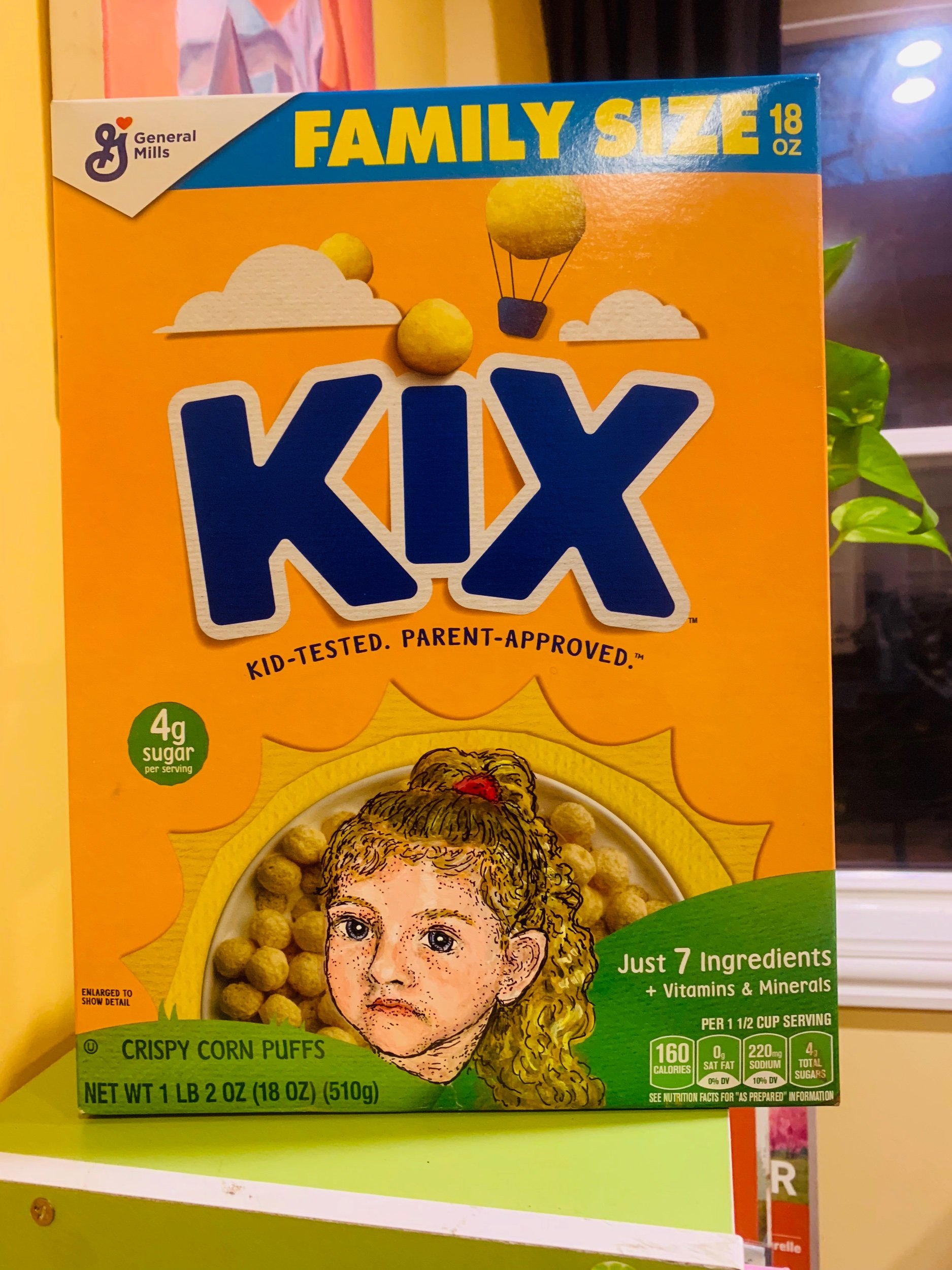 cereal box portrait commission
