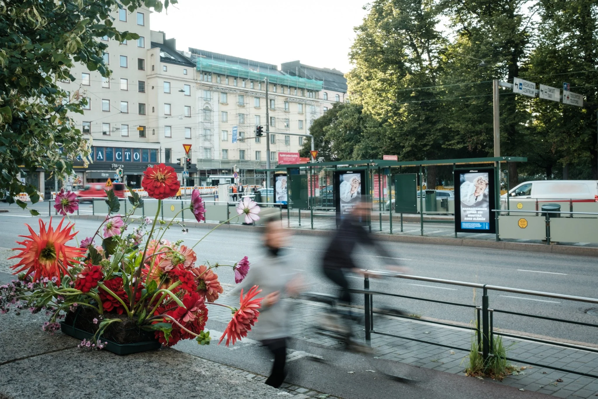 flower-bombing-toolo2.jpg