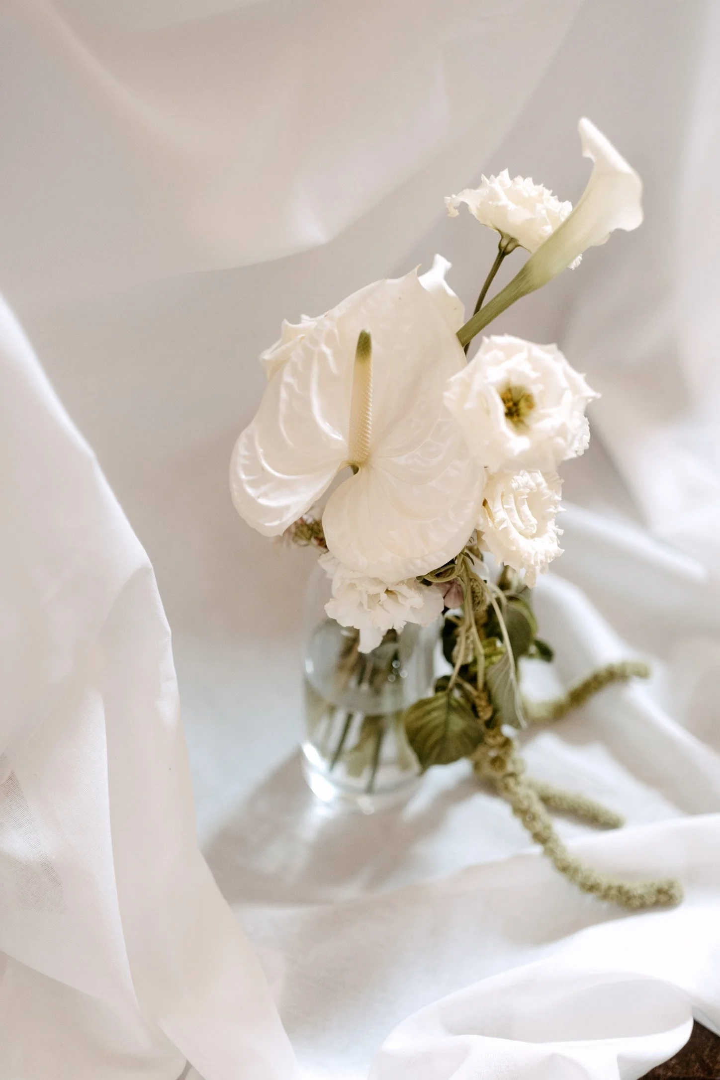 Copy of 5A6D0FB1-3F0A-4844-B358-8224E5CBE793_1_102_o.jpeg