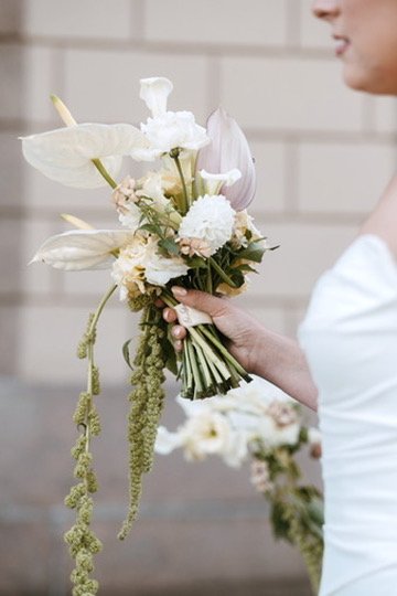 Copy of 14BF390D-3FDD-40AB-B6FB-3F3F9ADB2737_4_5005_c.jpeg