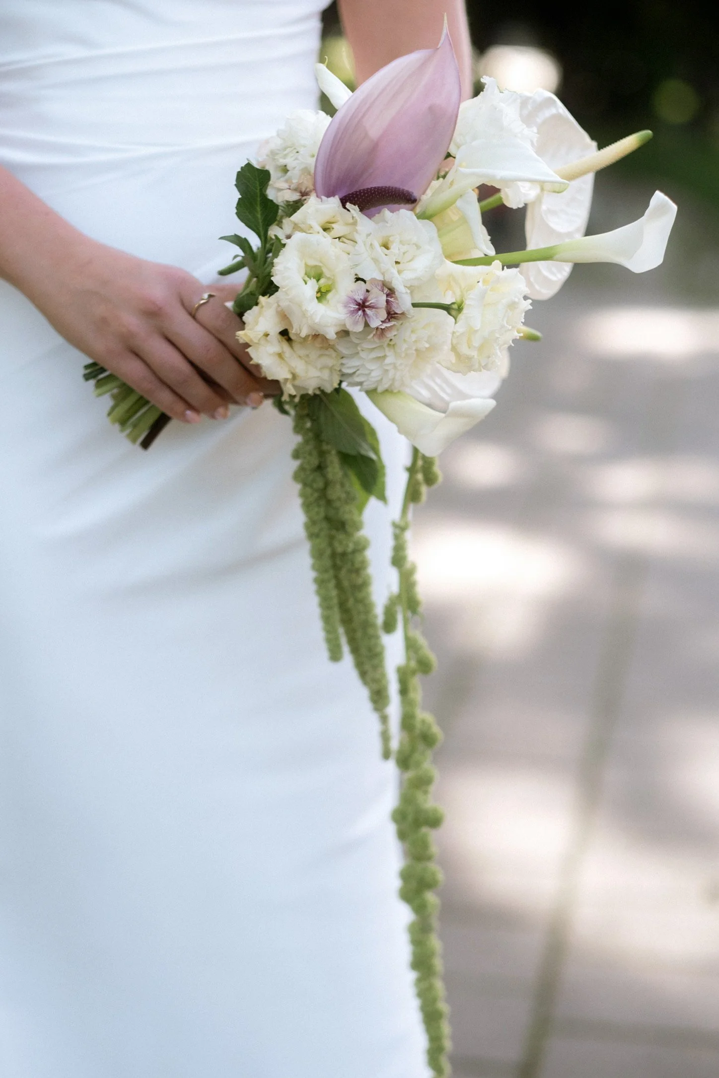 Copy of 87F64E2B-9D57-4730-9546-34904B5DFD7D_1_102_o.jpeg