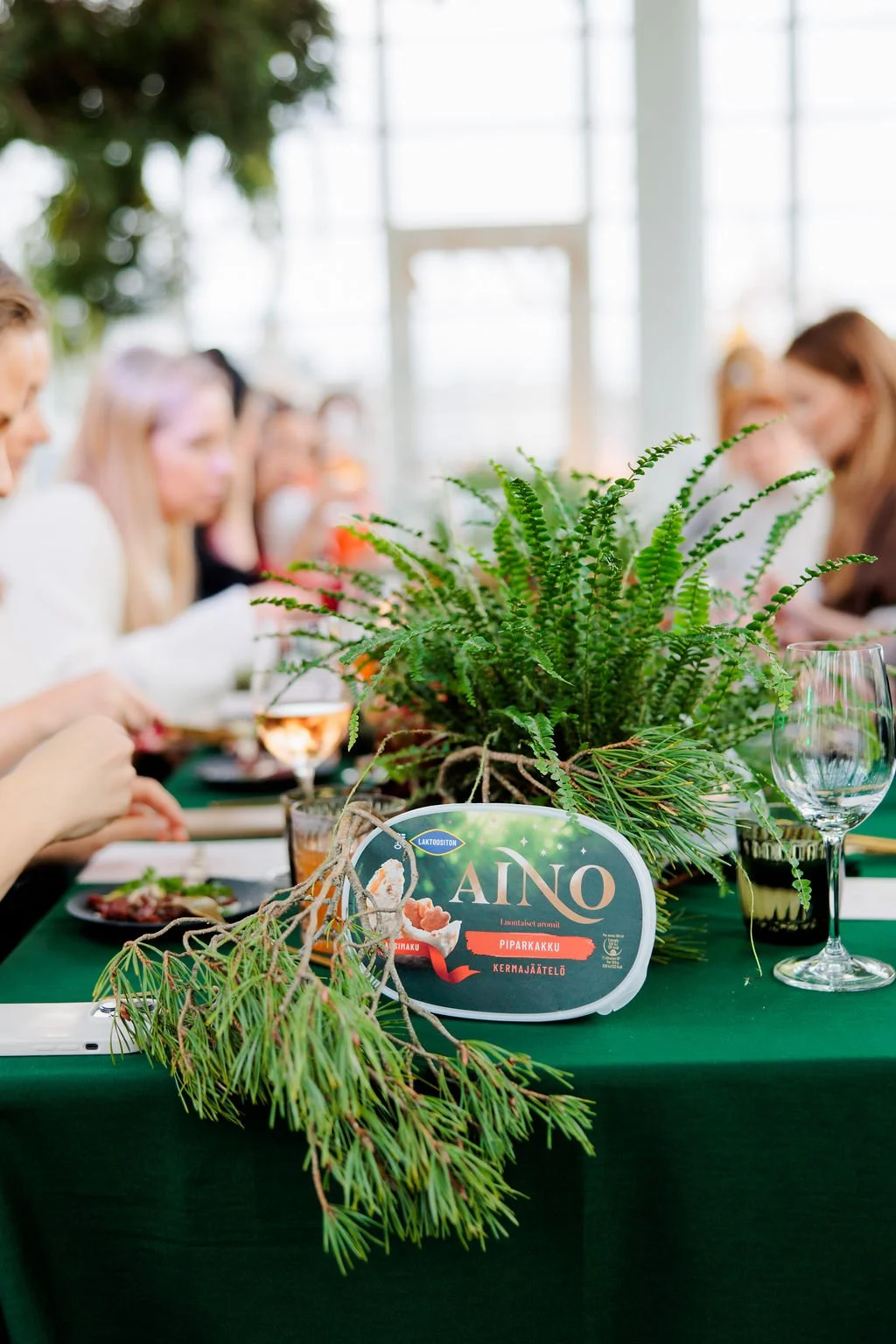 Pinja'sPhotography-ainojäätelötevent-114.jpg