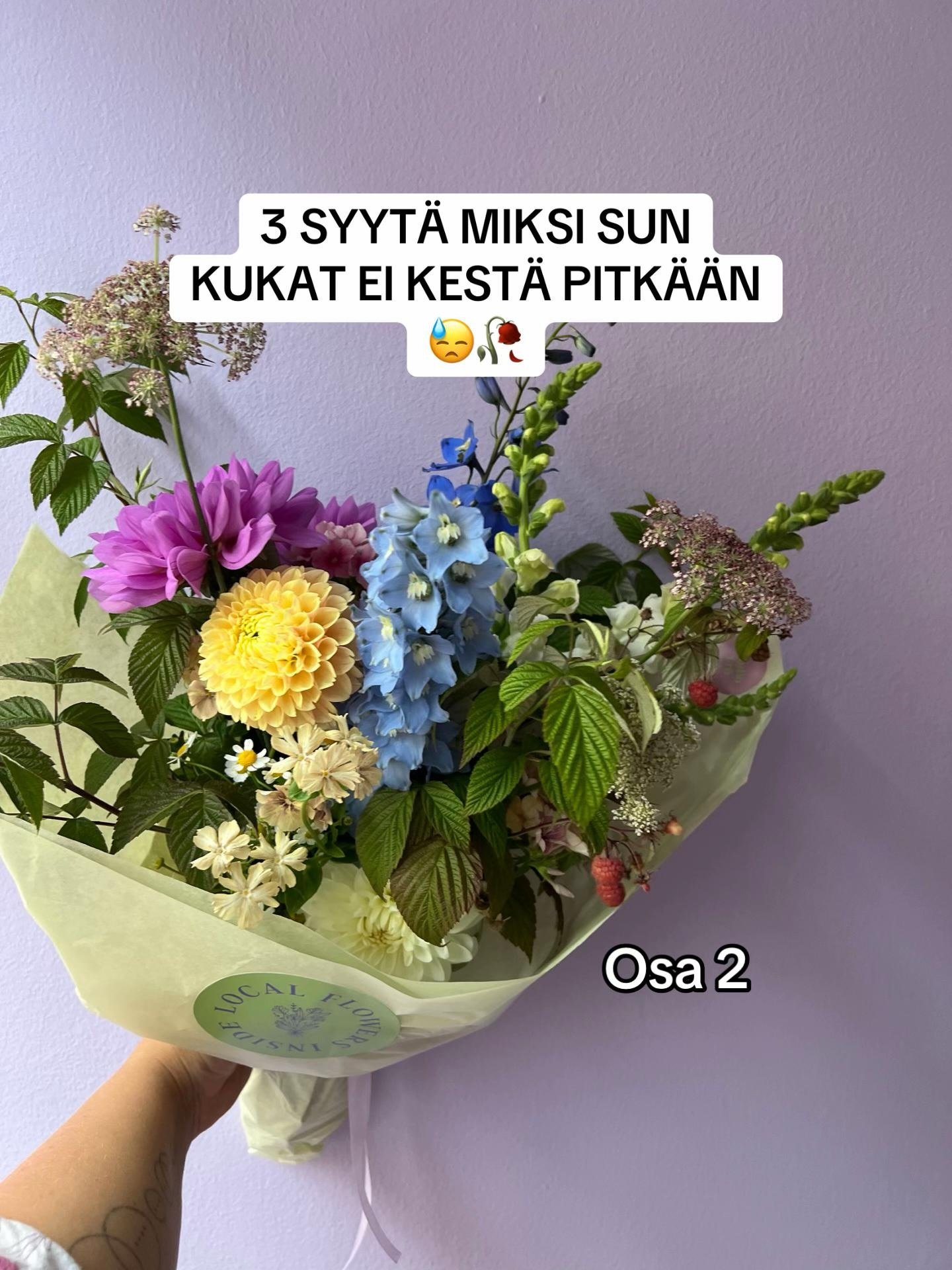 Miten saat kukkakimppu kest&auml;m&auml;&auml;n pidemp&auml;&auml;n?🌸

#studiofro #floristi #kukat #sustainablefloristry #kukkakimppu