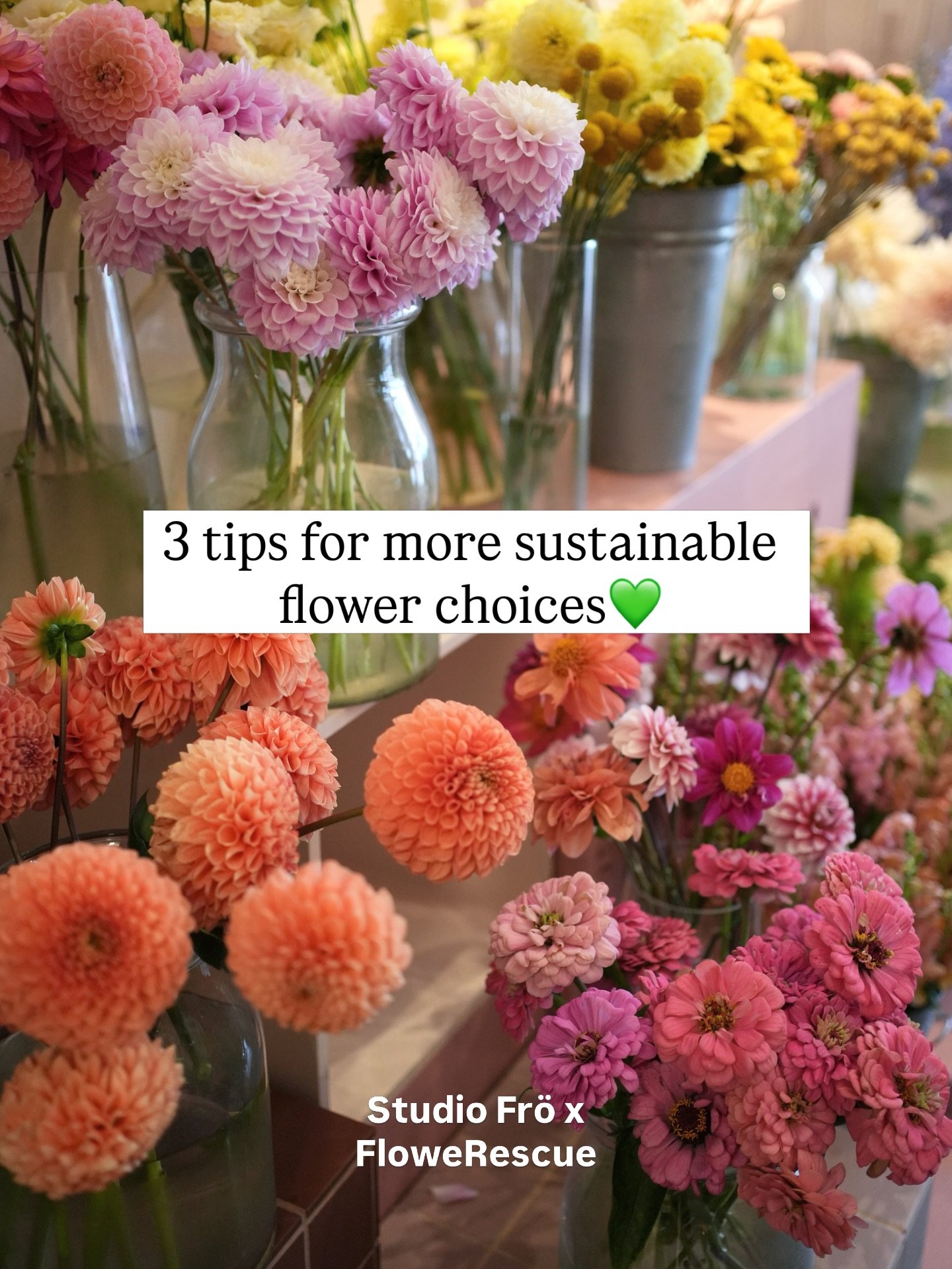 (🇫🇮 below)
In honor of Earth Day, here are 3 tips on how you can make more sustainable flower choices🌸✨

We&rsquo;ll see you today at the bouquet making pop-in, let&rsquo;s make the Earth greener one flower at a time!💚

🇫🇮 Studio Fr&ouml;n ja F