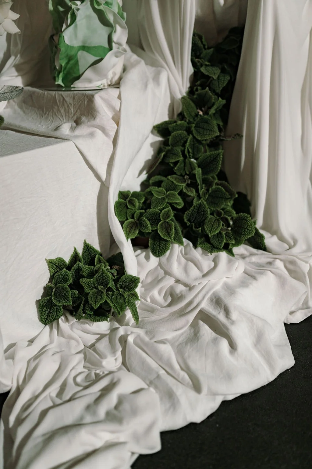 Galleria_Frö-4.jpg