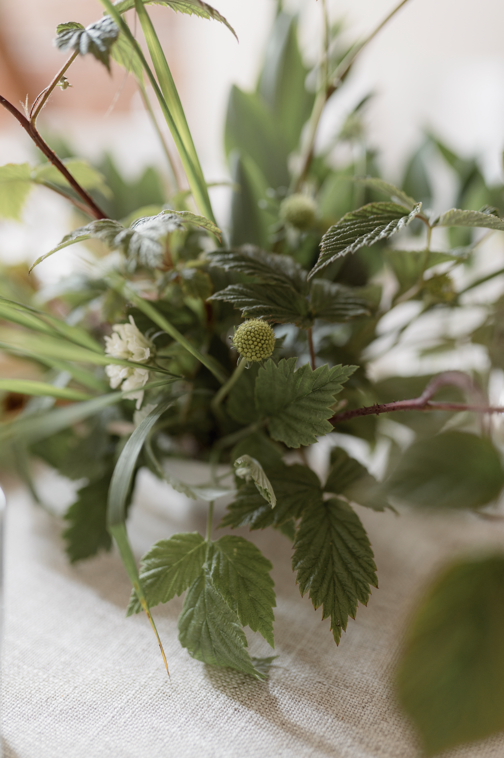 Näyttökuva 2024-07-01 kello 15.12.00.png