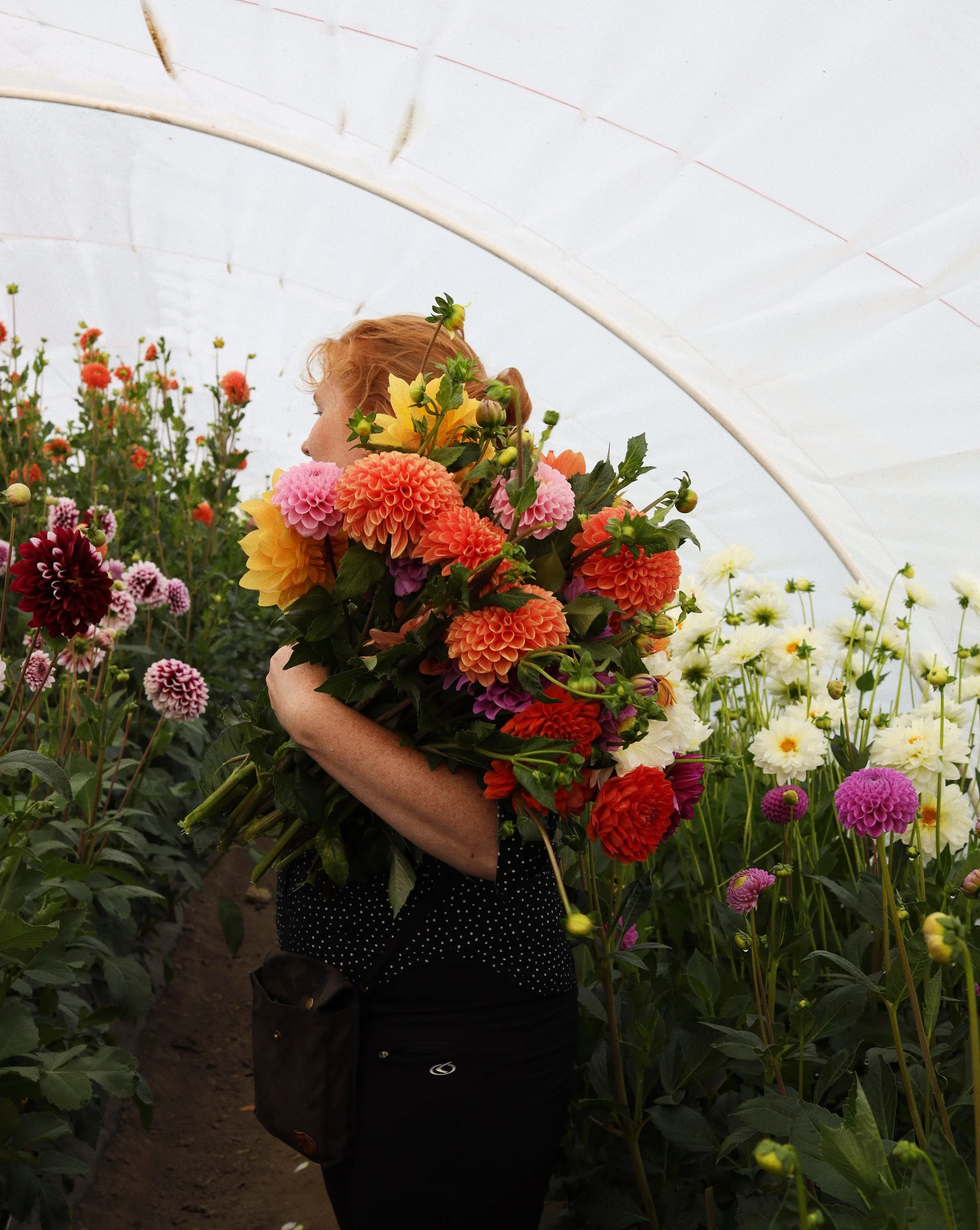 Nainen seisoo kukkatarhassa, sylissään suuri kimppu monen eri väristä kukkaa, erityisesti oranssia, pinkkiä ja keltaista.