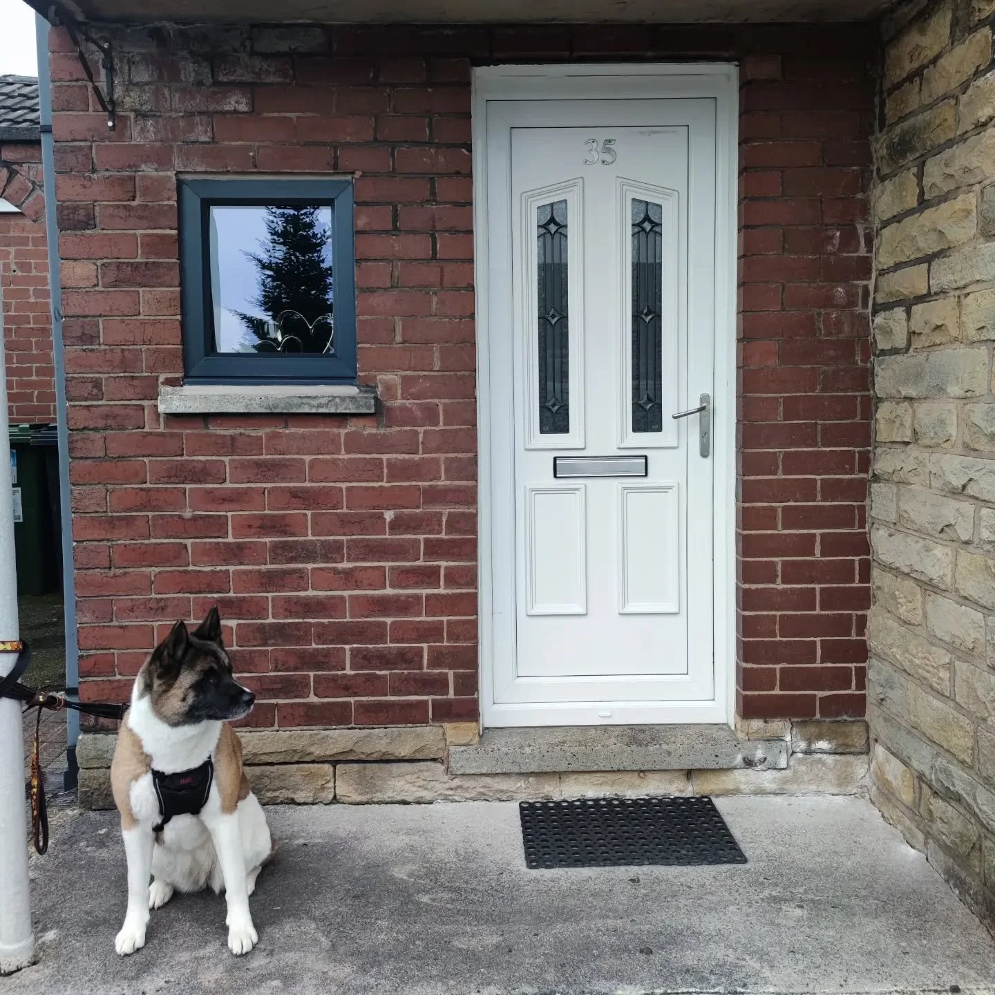 This is an old one that never got uploaded. @charlottetraceytattoo stole my doggo since then. 🐶
We coated this door in our plastigrip coating to match the newly fitted windows. #anthricitegrey 
www.coloursolutionsupvcspraying.com
🏘SEND US PHOTOS