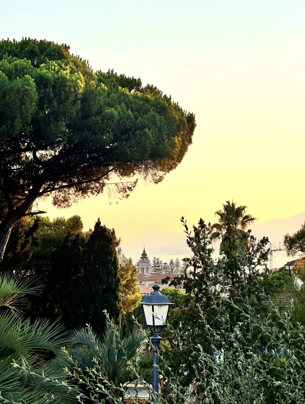 Scenic view of a park 