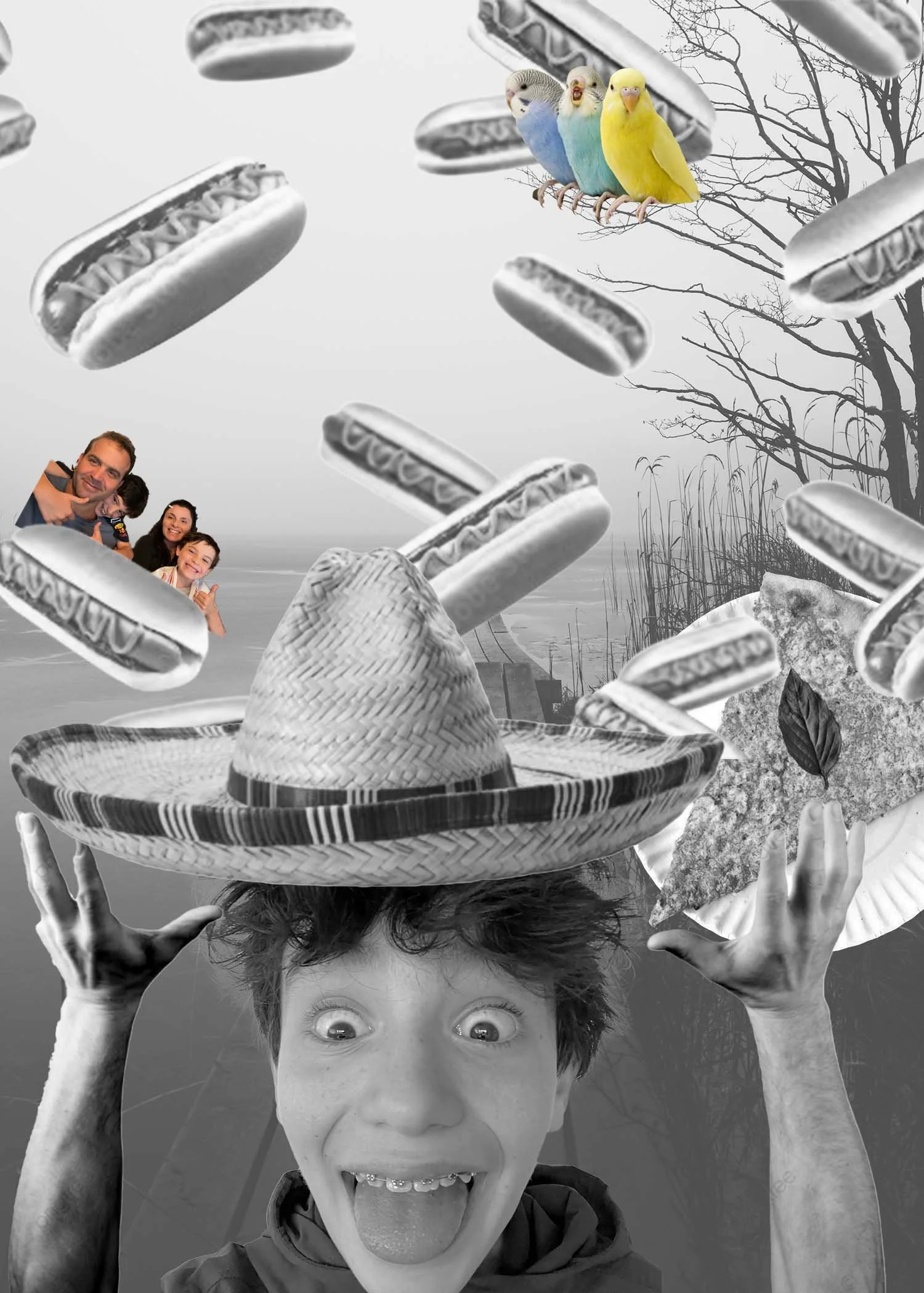 almeidavince_7941_3139963_Vinces Photoshop copy.jpg