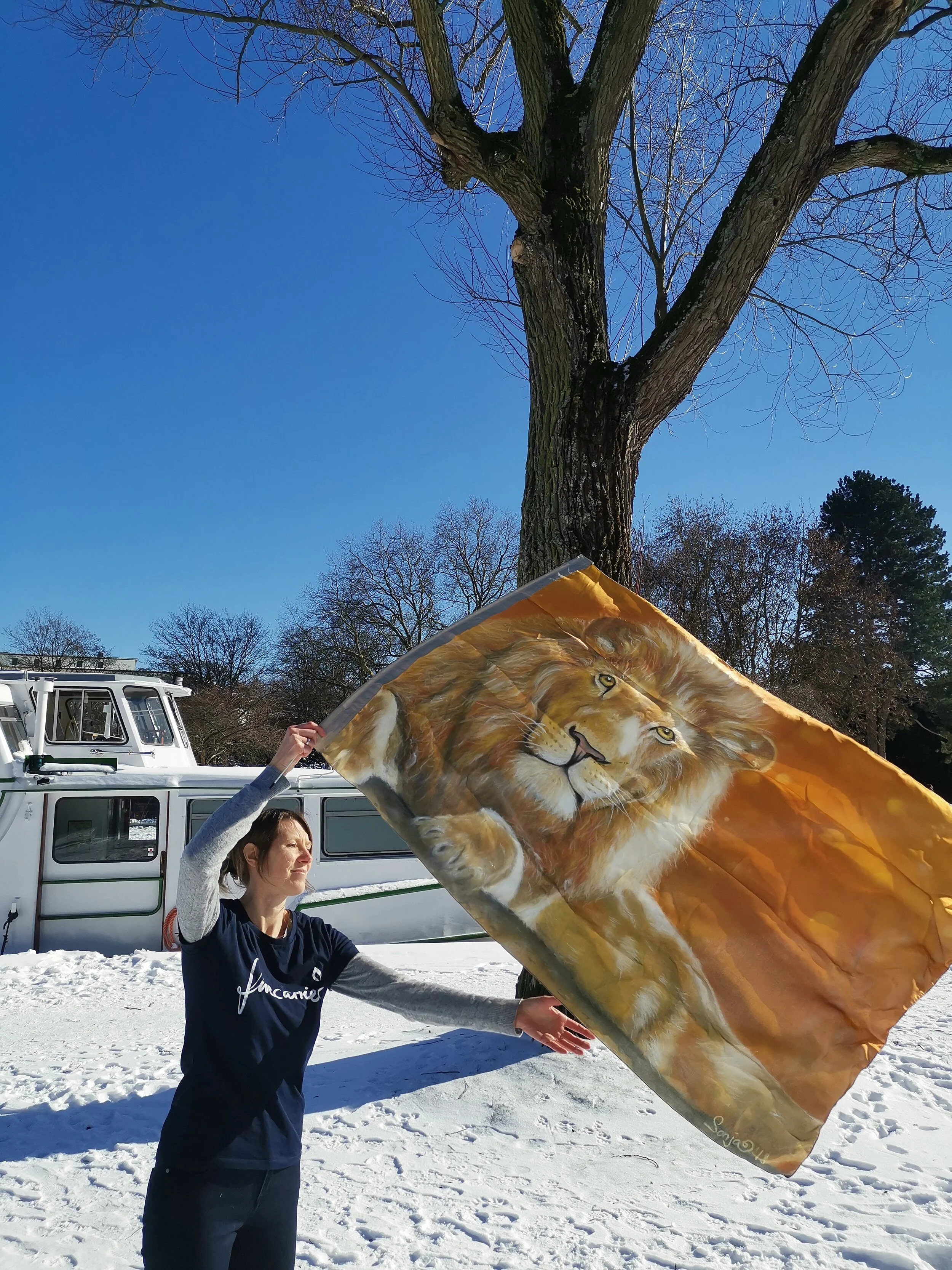 König der Herrlichkeit - Bedruckte Seidenflagge