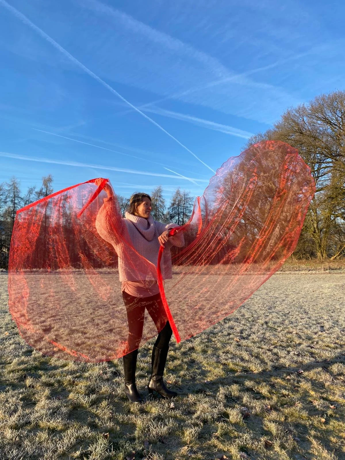 Geheilt- Organza Flaggen