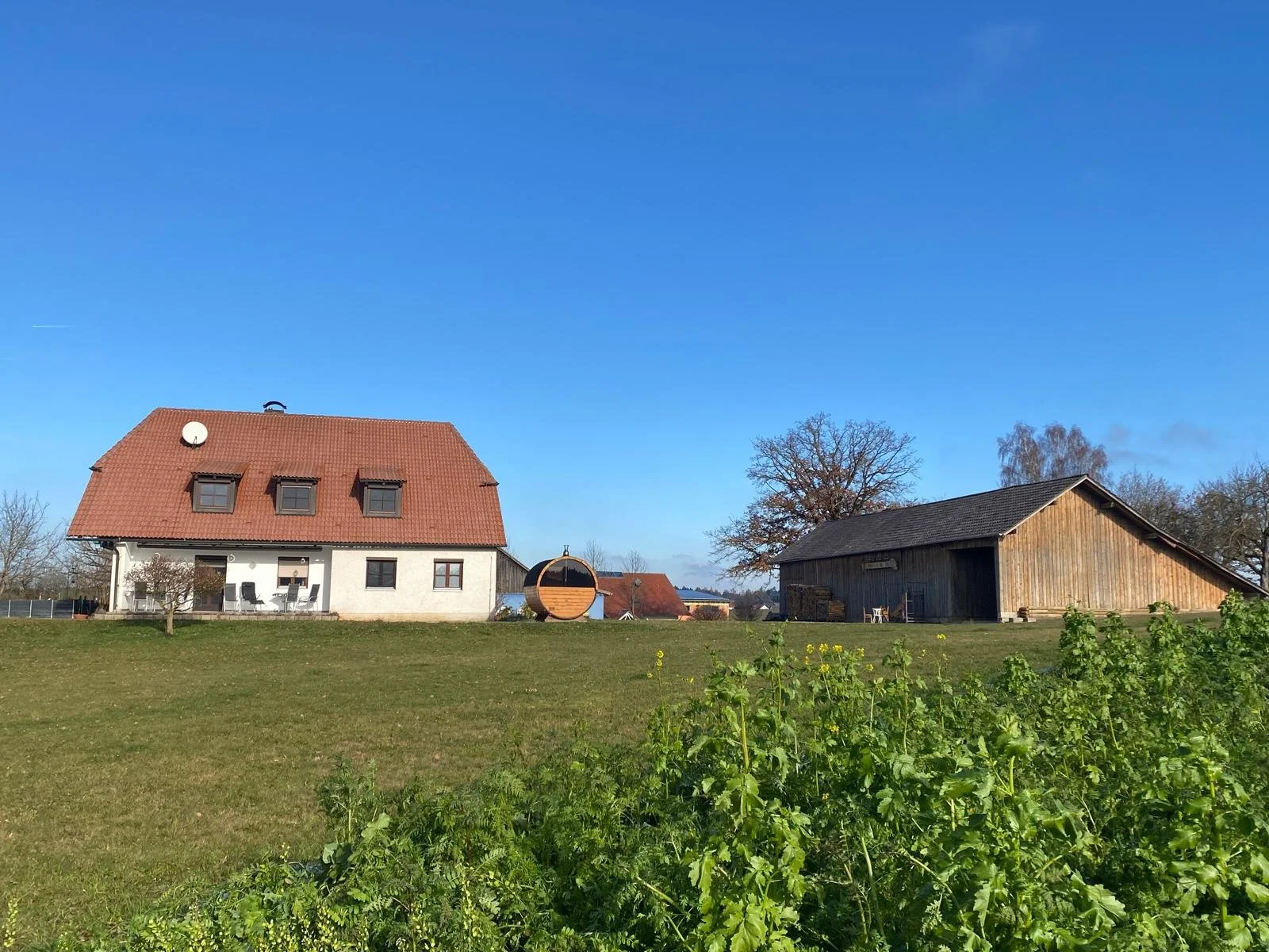 WhatsApp Bild 2025-12-03 um 20.43.40_574d9c76.jpg