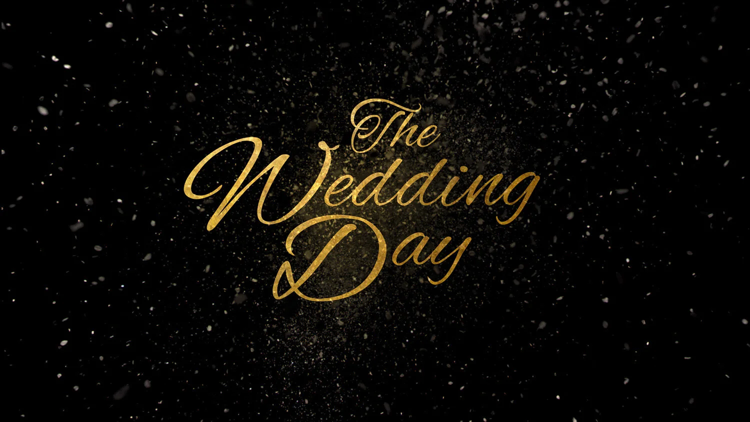 THE WEDDING DAY 2016