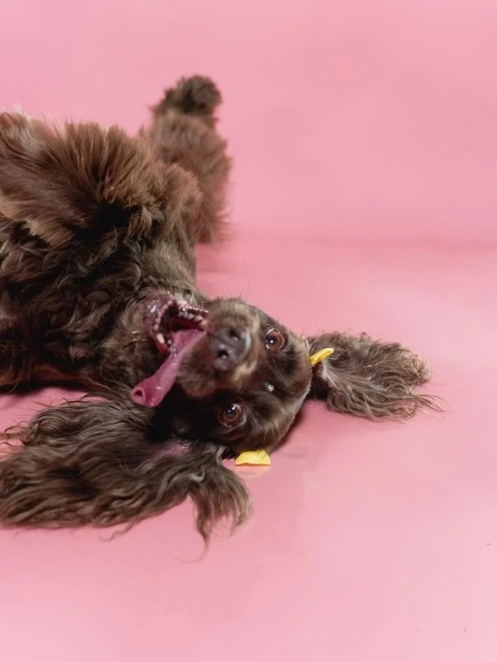 Hace unos d&iacute;as le tom&eacute; foticos a &Aacute;frica 🥹💖