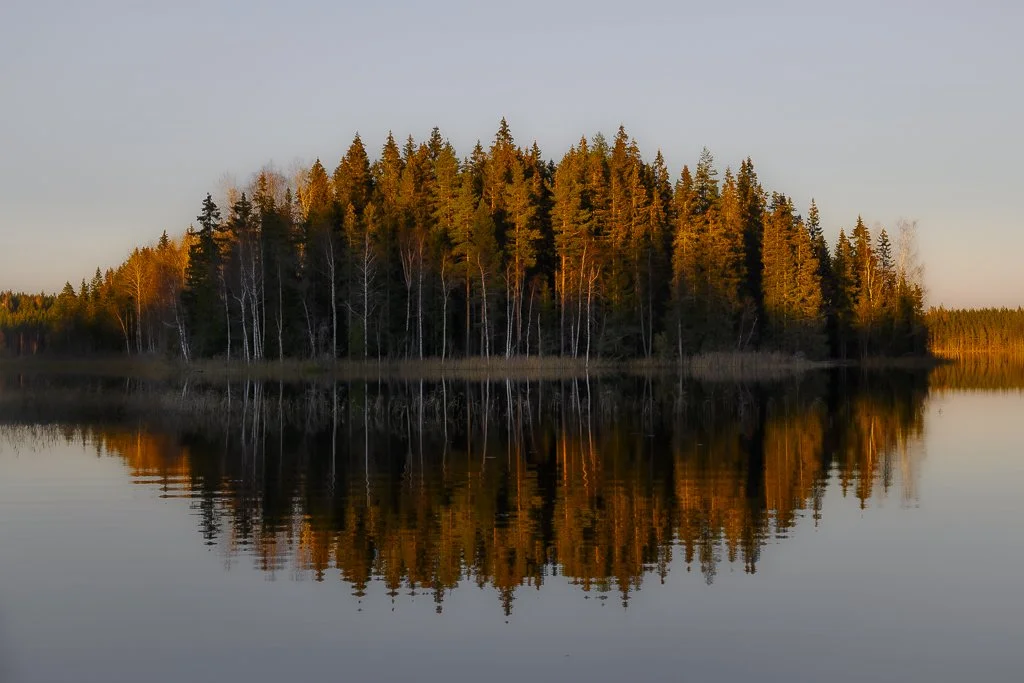 Z50_0888.jpg