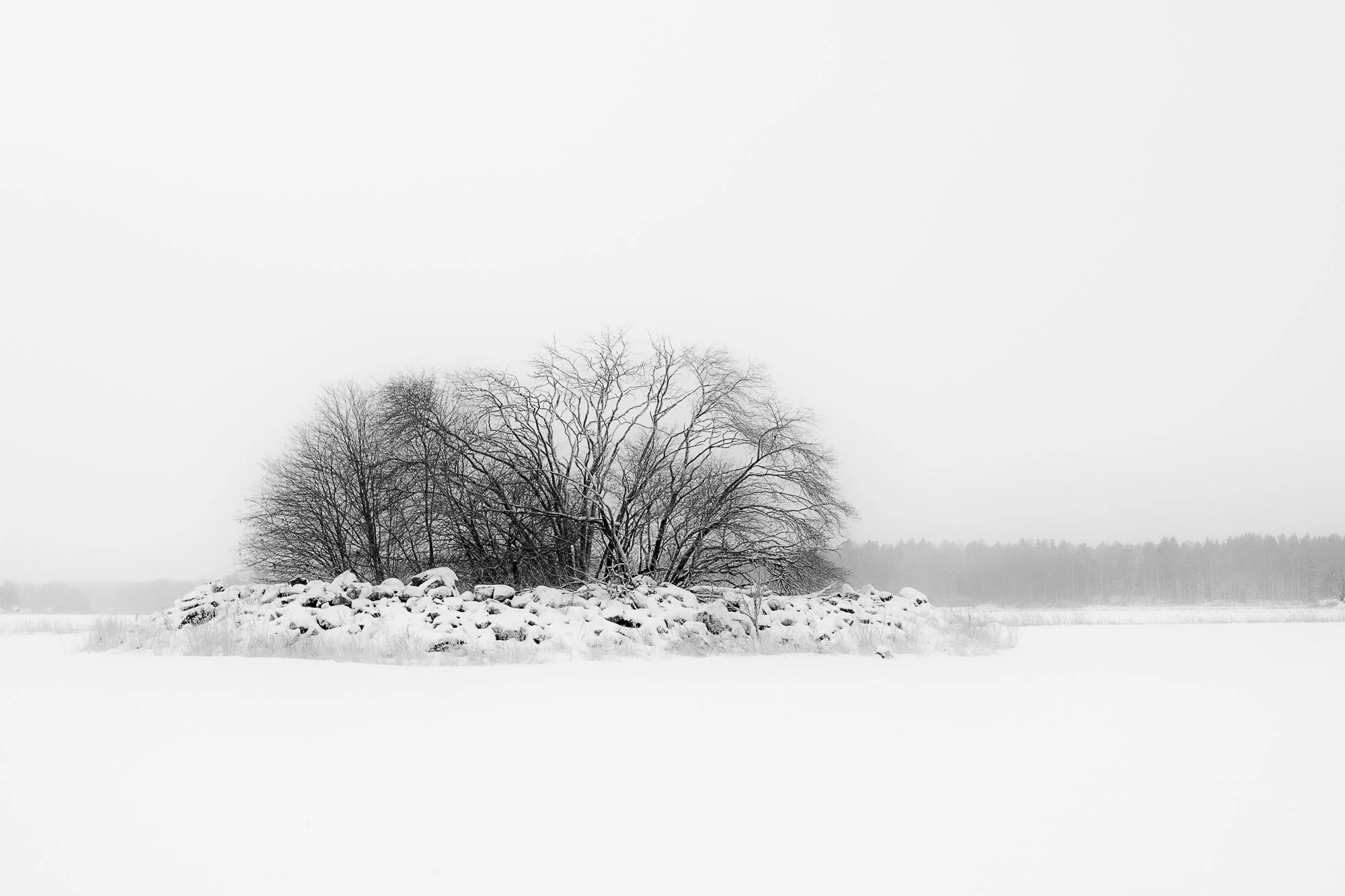 DSCF1389-Redigera.jpg