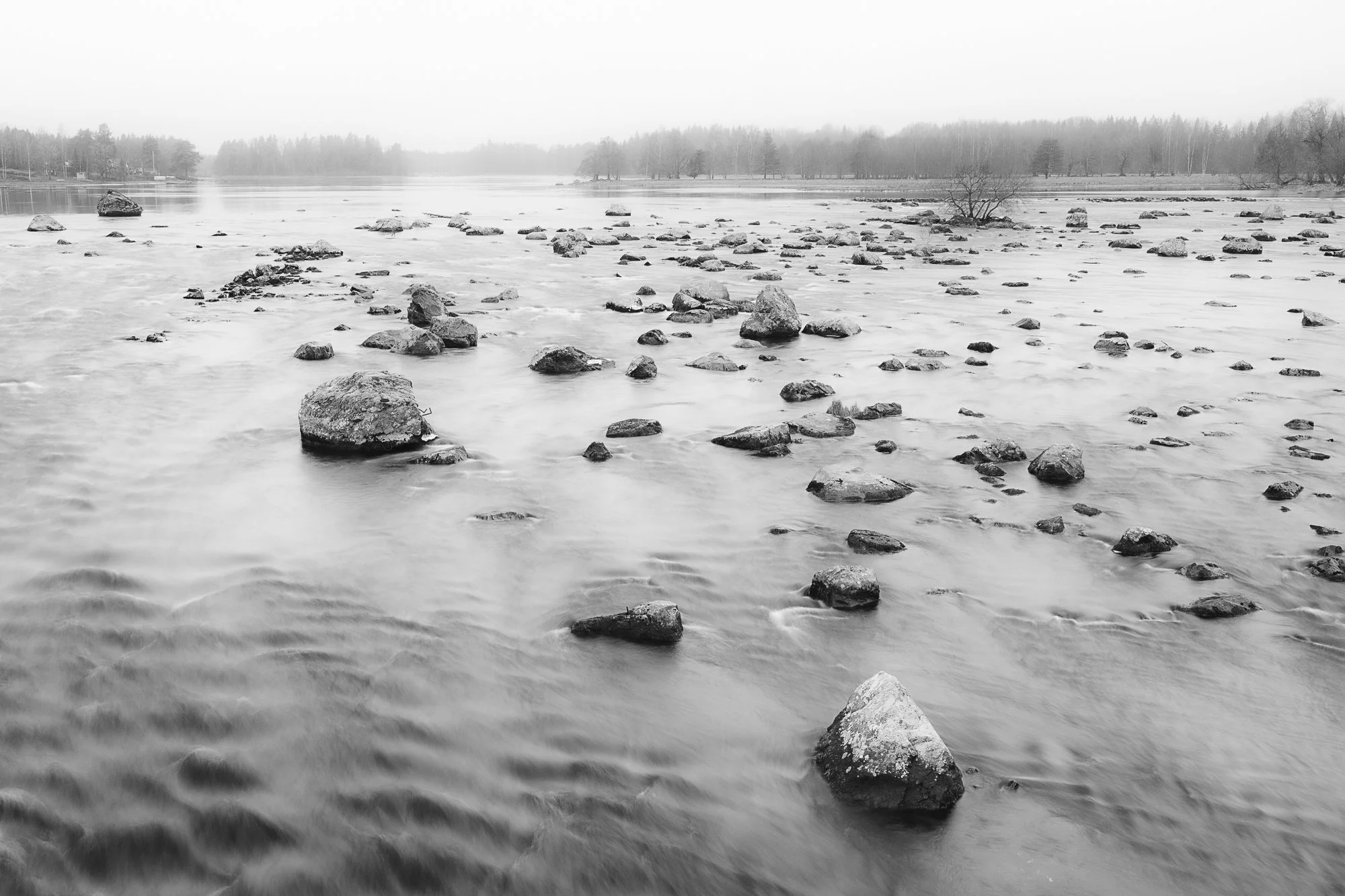 DSCF1306-Redigera.jpg