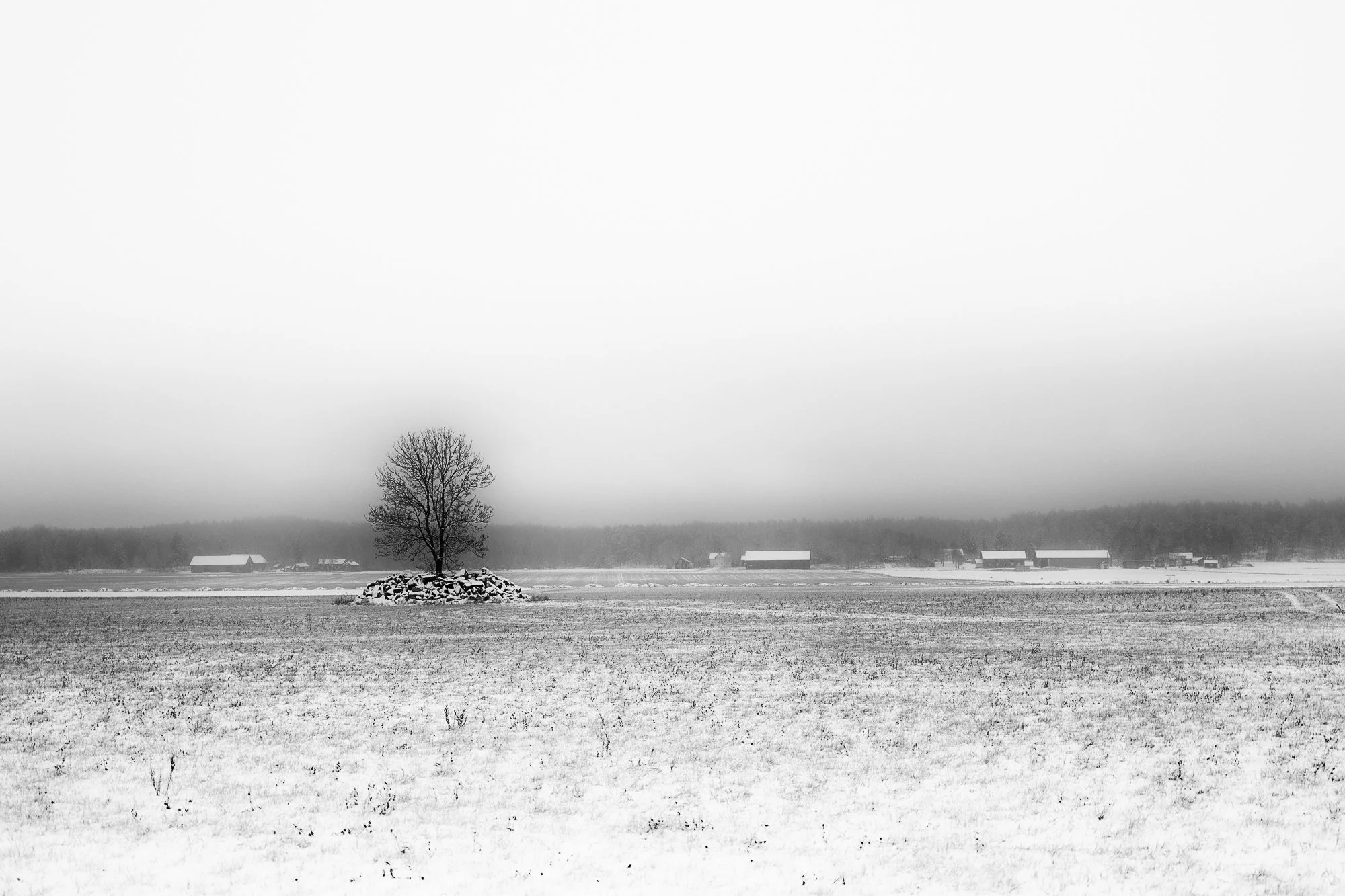DSCF1091-Redigera.jpg