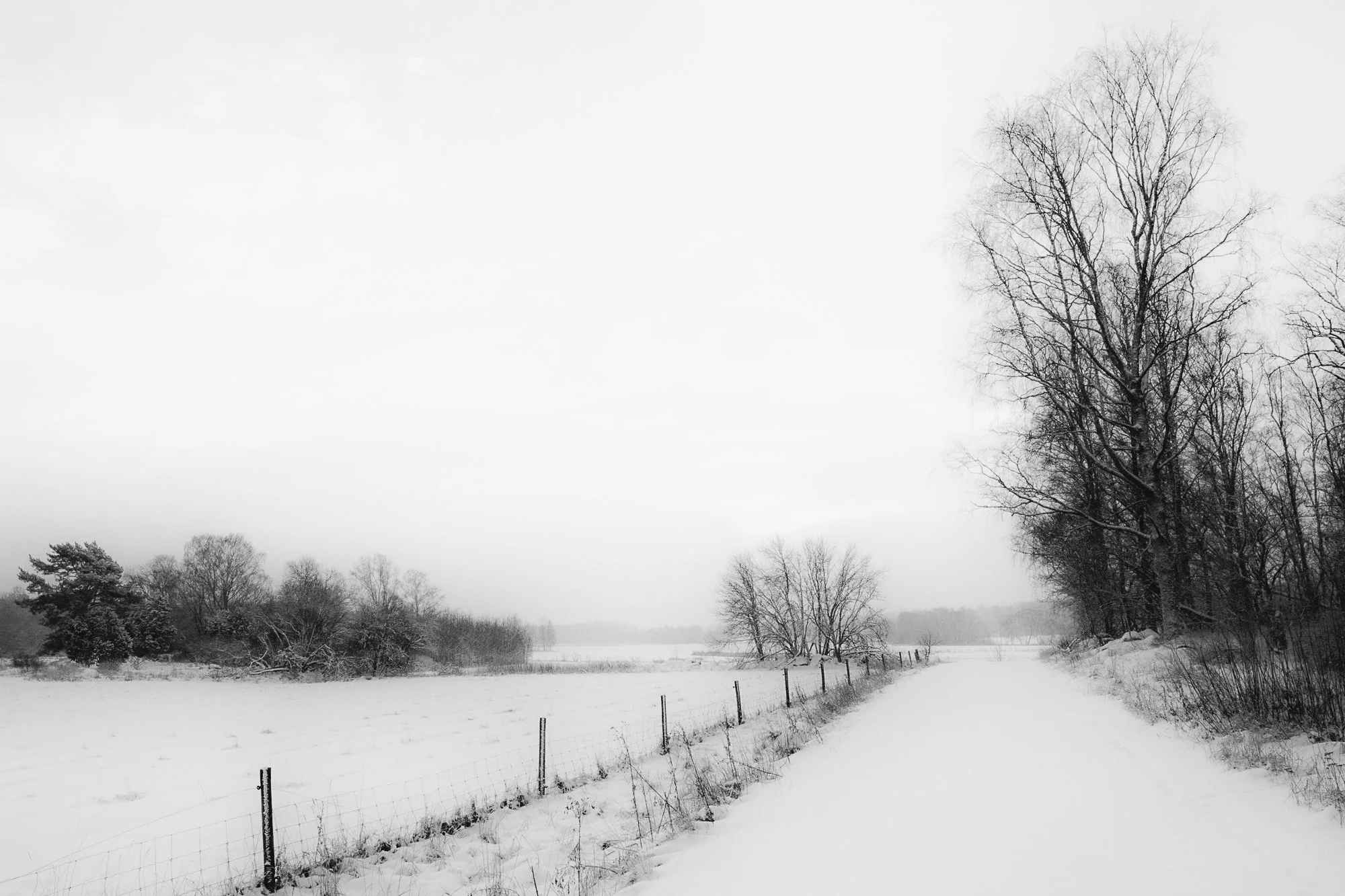 DSCF1423-Redigera.jpg
