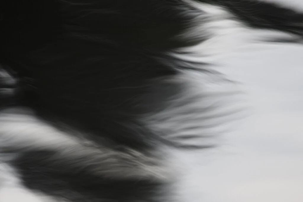 SSD_2717.jpg