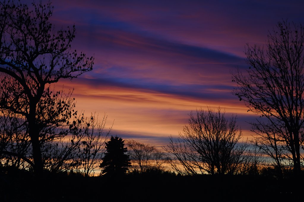Z50_0987.jpg