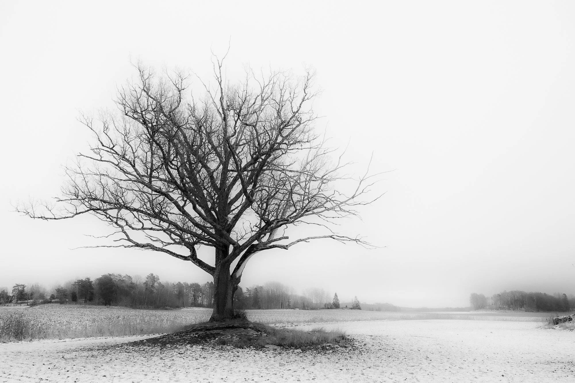 DSCF1062-Redigera.jpg