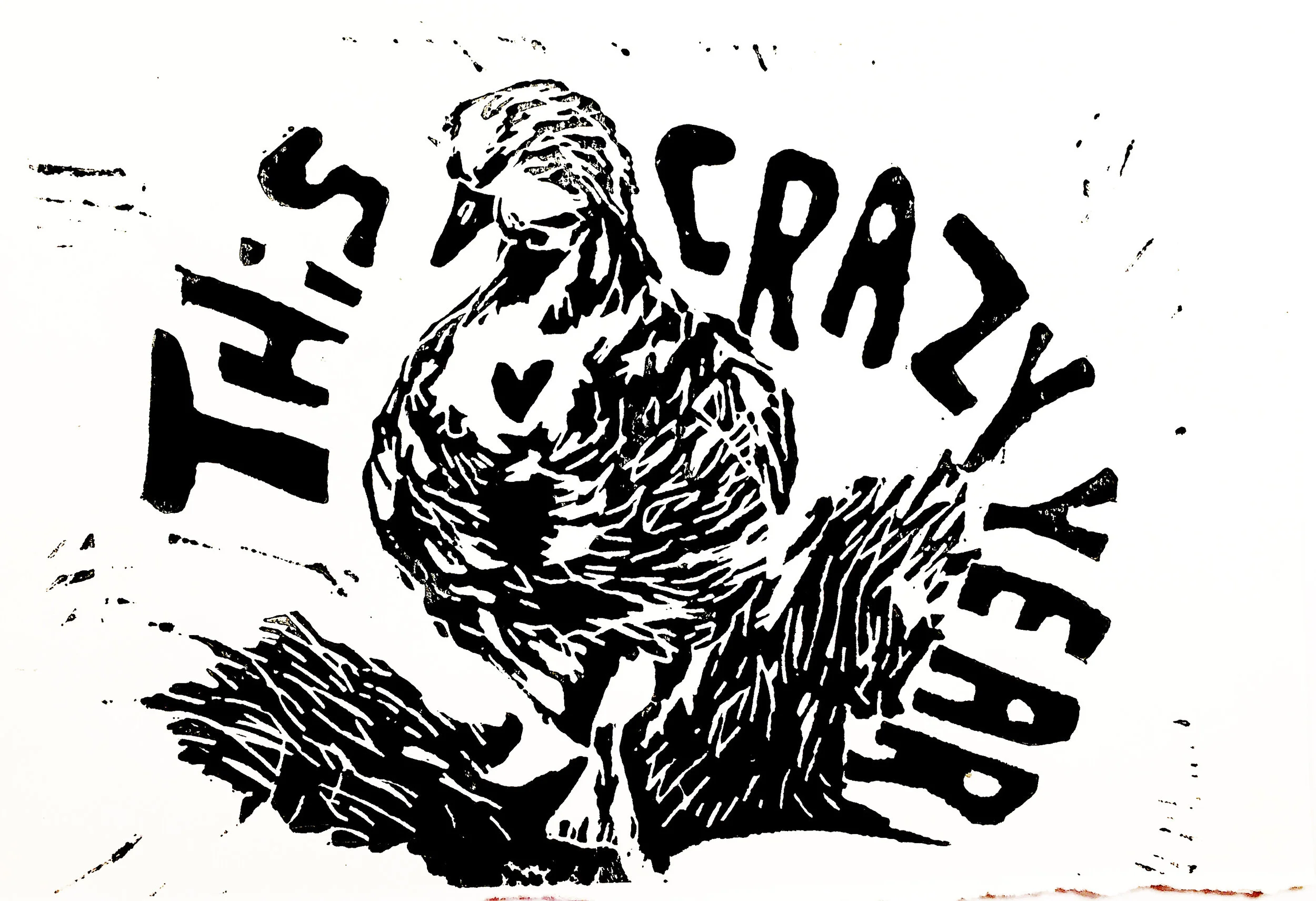 this crazy year .jpg