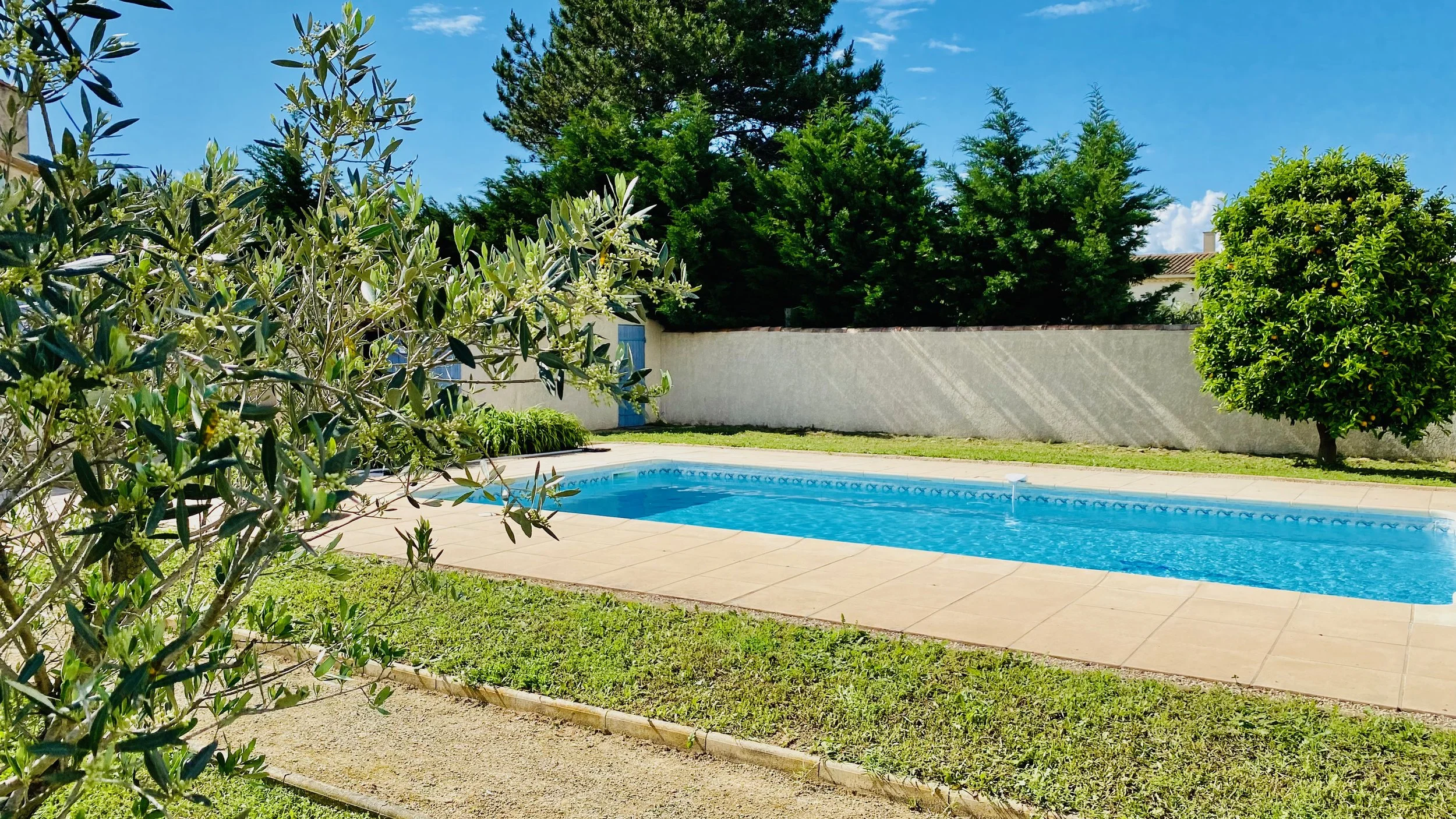Private swimming pool surrounded by olive tree and garden at Villa Magali Arles