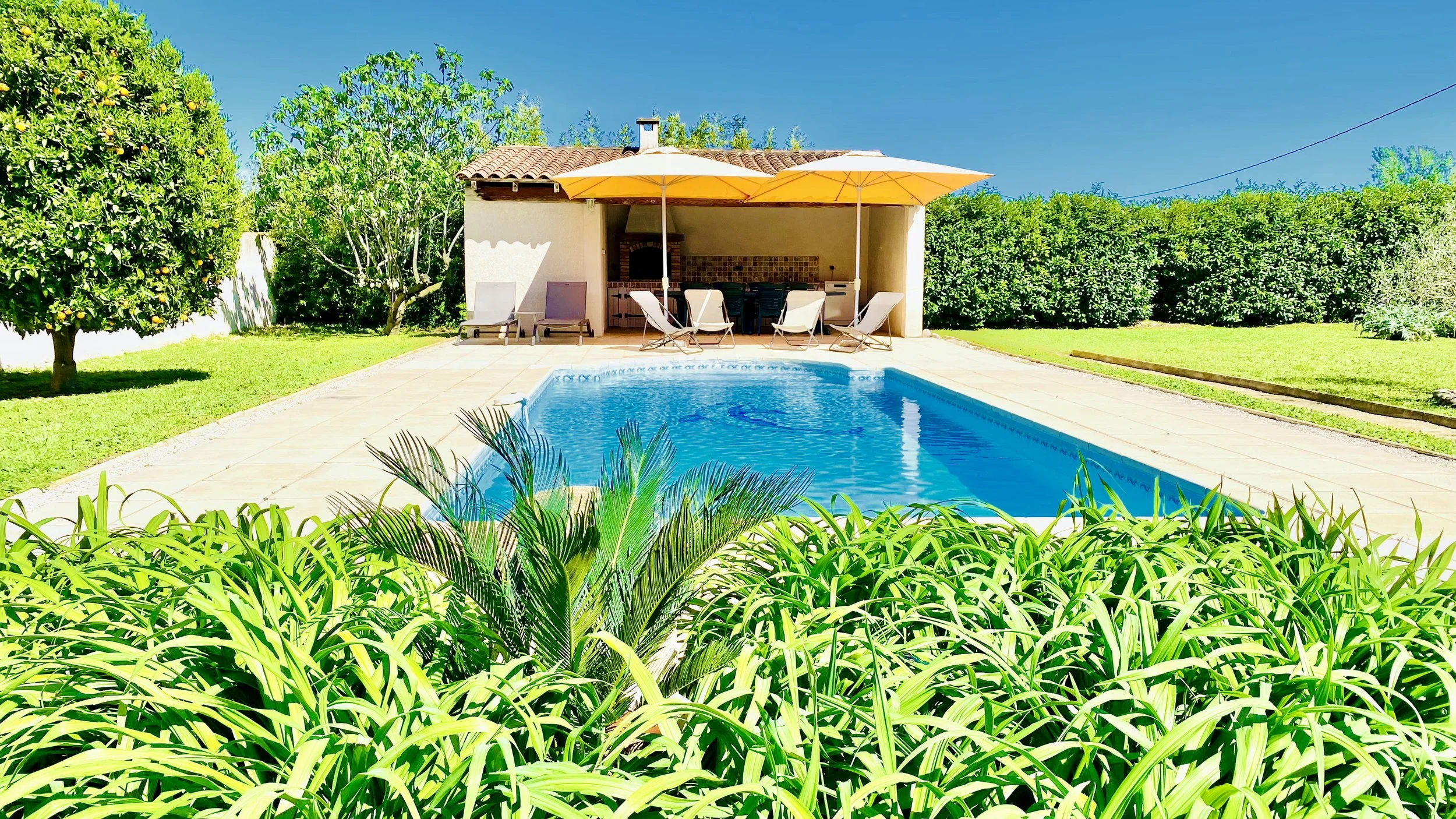 Swimming pool relaxation area with umbrellas and outdoor kitchen in a private garden