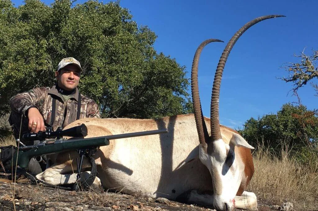 Affordable Texas Deer Hunts Texas Whitetail Deer Hunting Packages