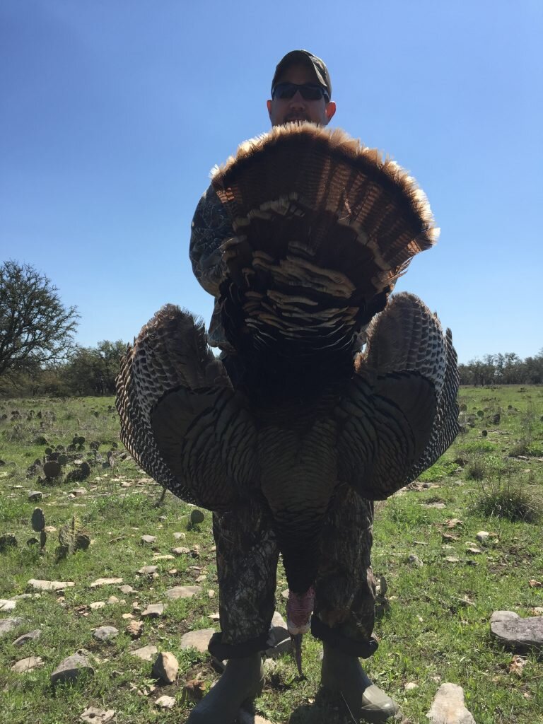 Photo Galleries Texas Turkey Hunts — Lazy CK Ranch