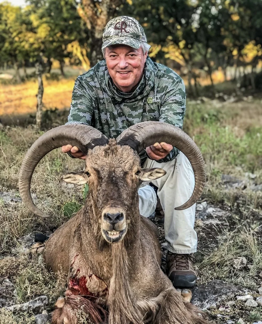 Texas Aoudad Sheep Hunts Barbary Sheep Hunting Lazy CK Ranch texas-aoudad-sheep-hunts-barbary-sheep-hunting-lazy-ck-ranch