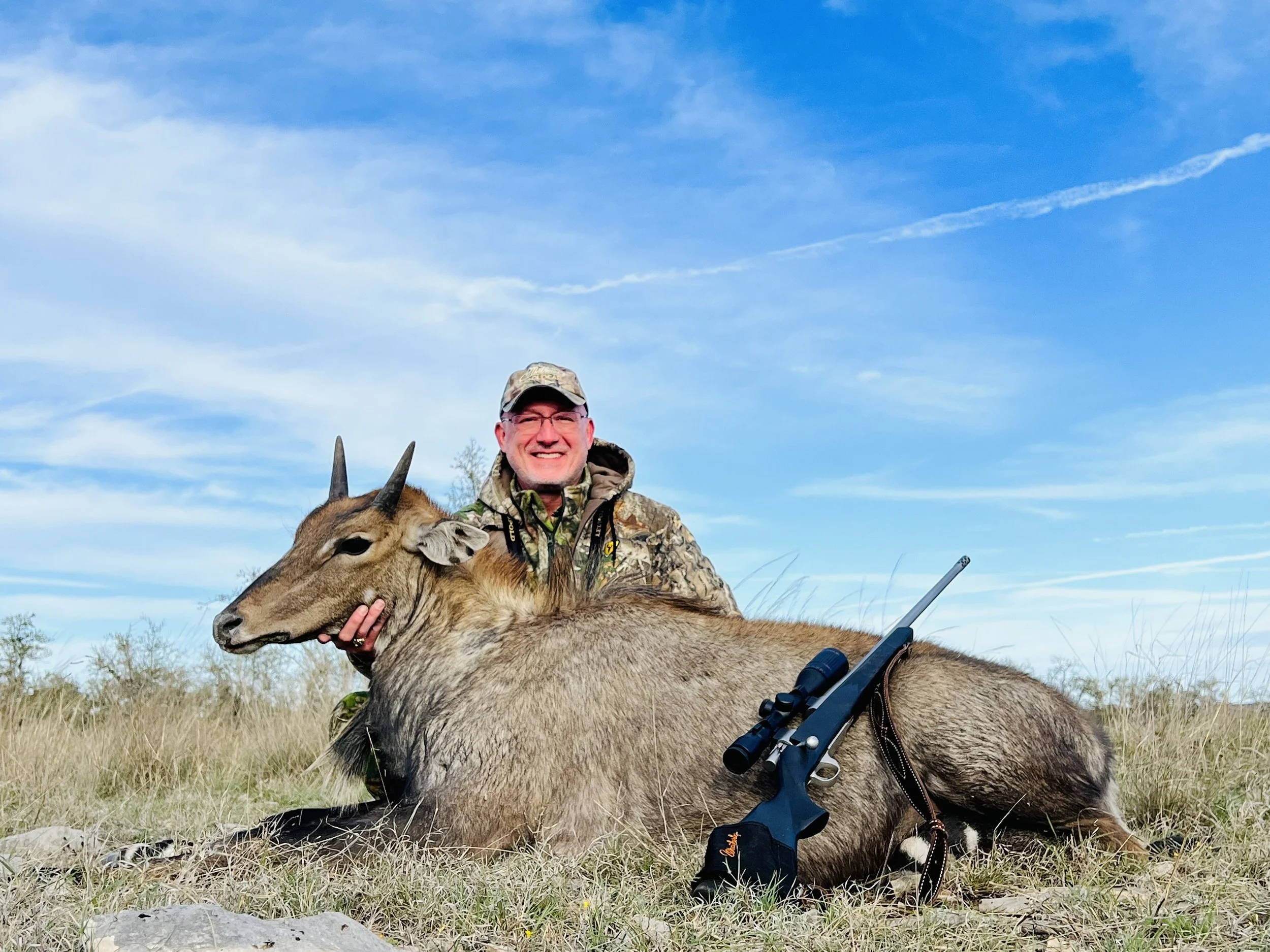 Nilgai Hunting In Texas Exotic Hunts — Lazy CK Ranch