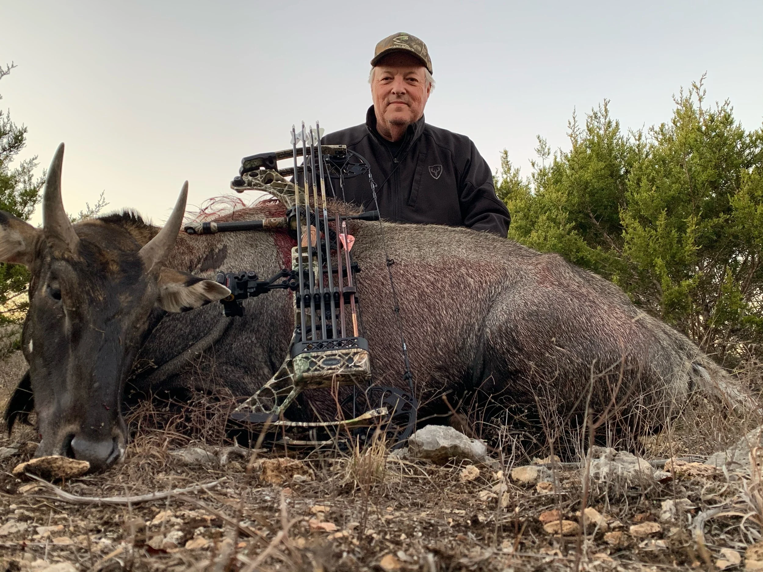 Nilgai Hunting In Texas Exotic Hunts — Lazy CK Ranch