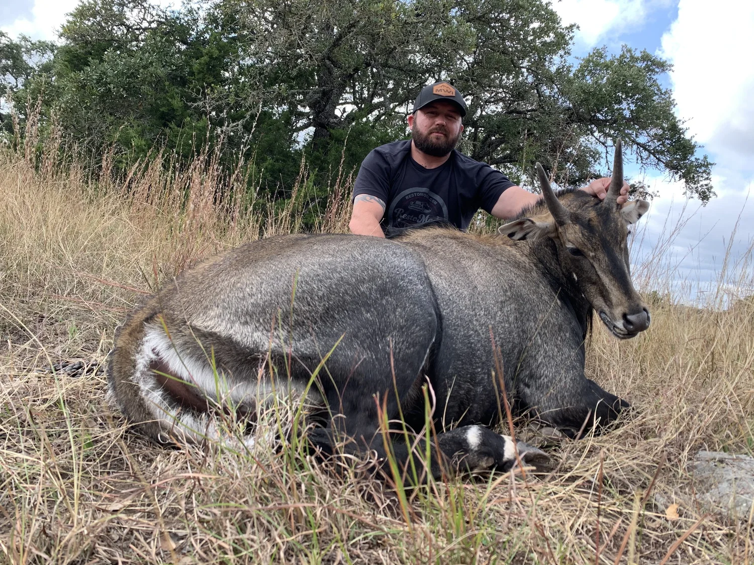 Nilgai Hunting In Texas Exotic Hunts — Lazy CK Ranch