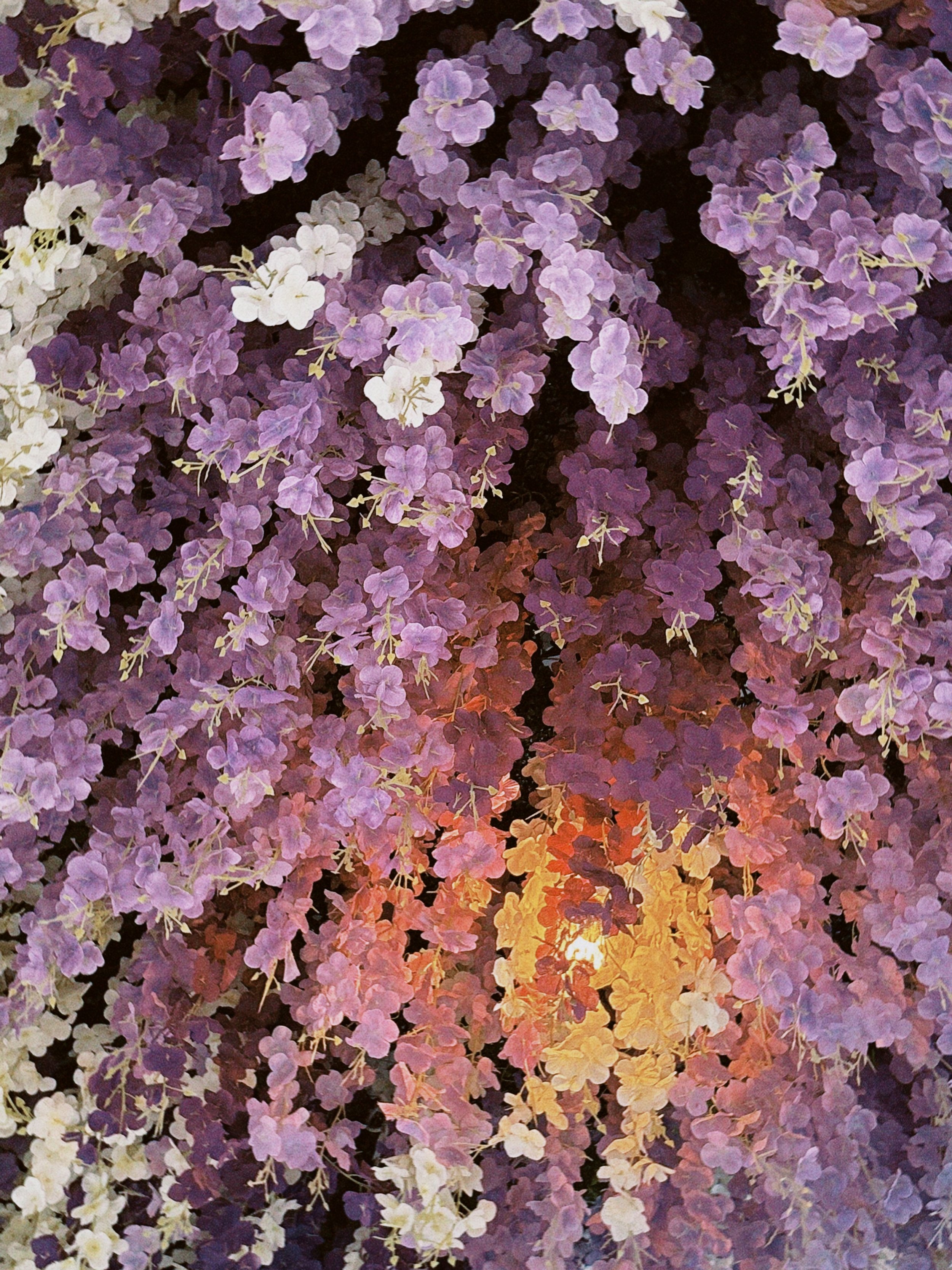 classicu 2026-01-25 174459.757.jpg