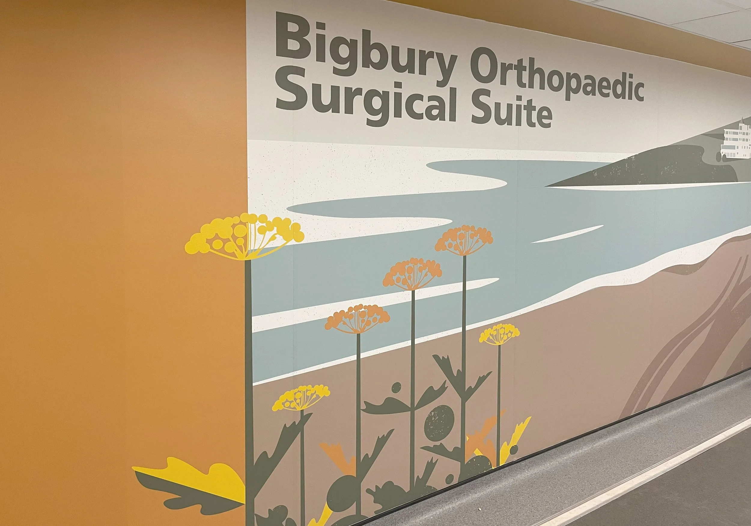 Bigbury Orthopaedic Surgical Suite