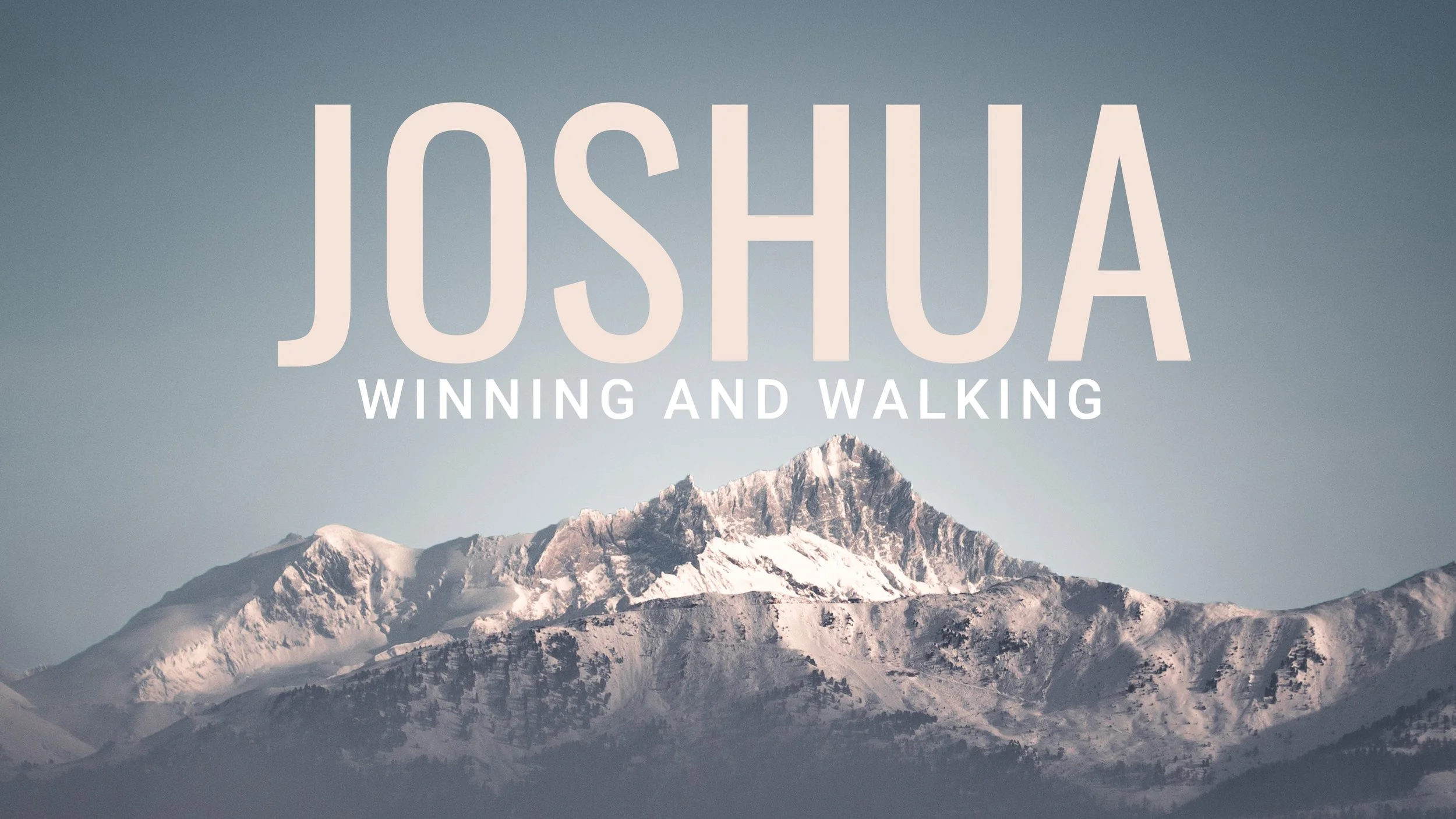 Joshua Study