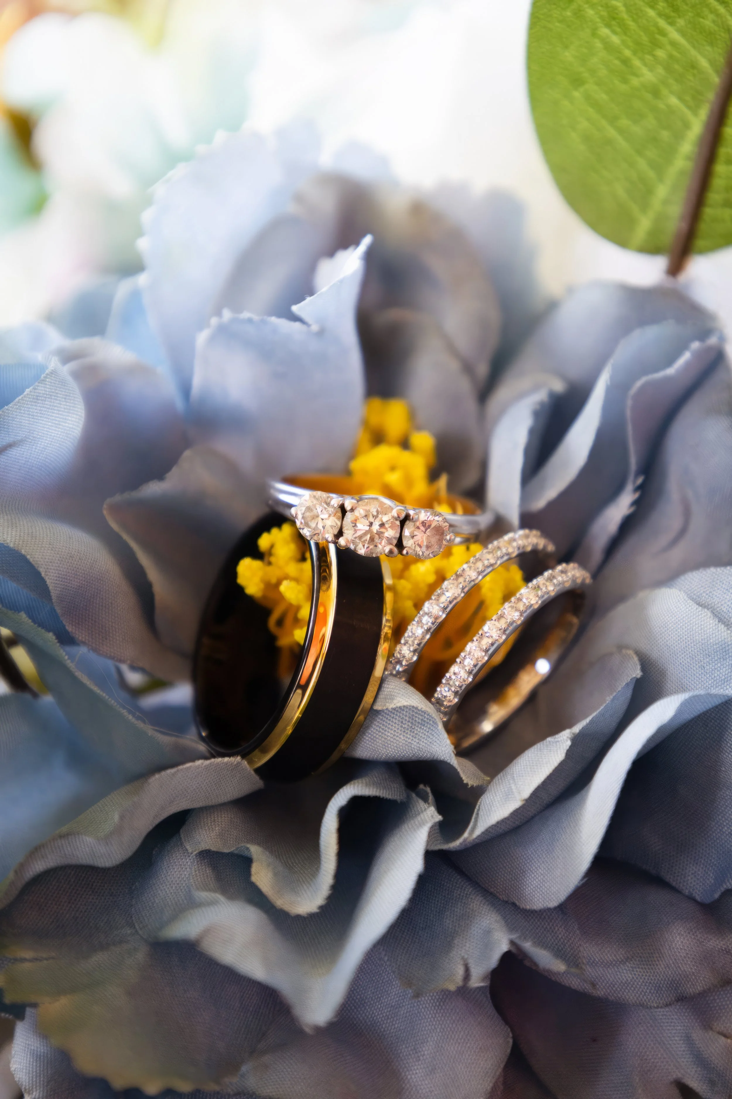 Close-up of three rings resting inside a gray peony flower with yellow center and green leaves, with soft, bright lighting.