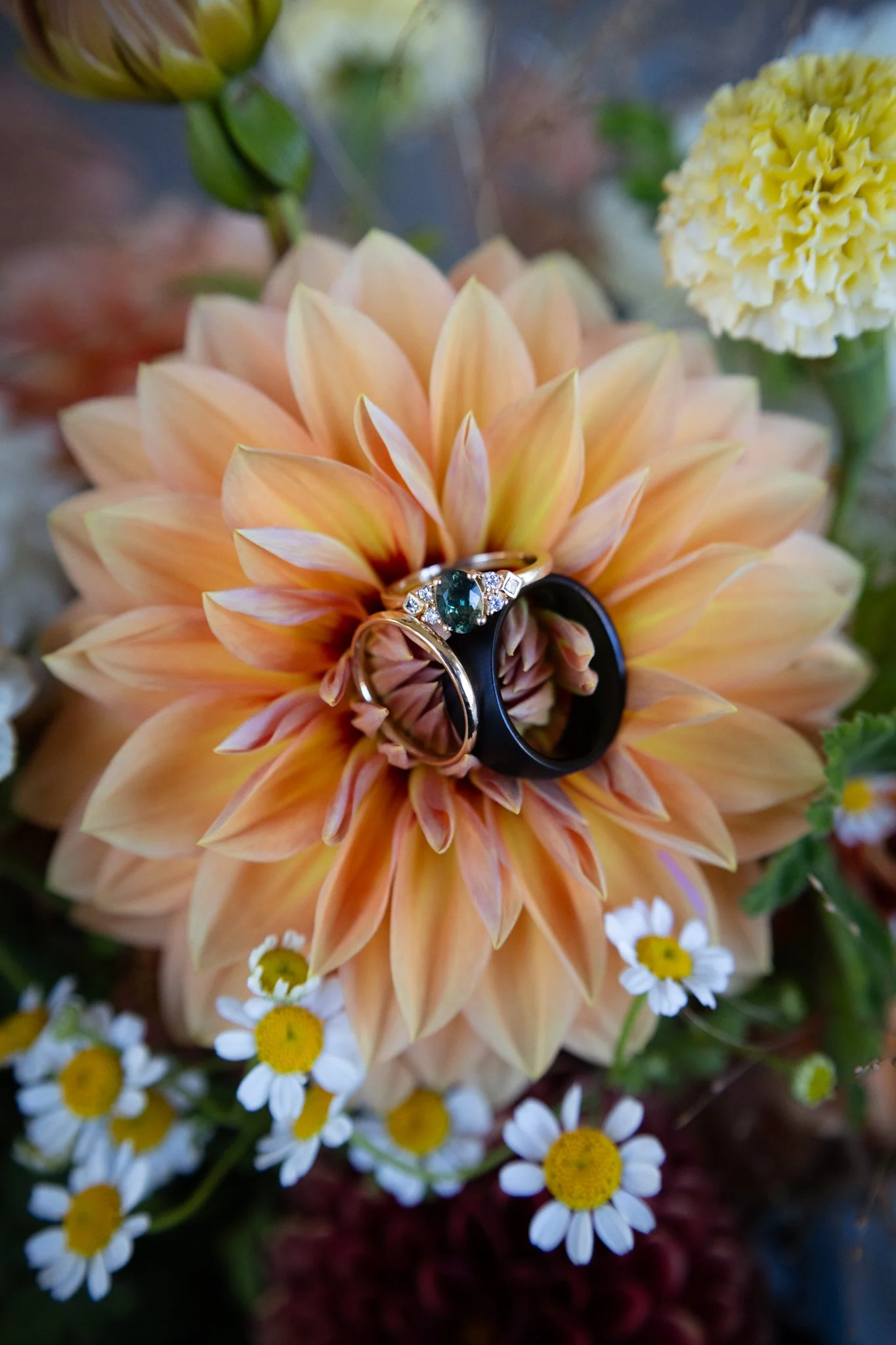 A close-up of a peach-colored dahlia flower with two rings resting on its petals, surrounded by other small white and yellow flowers.