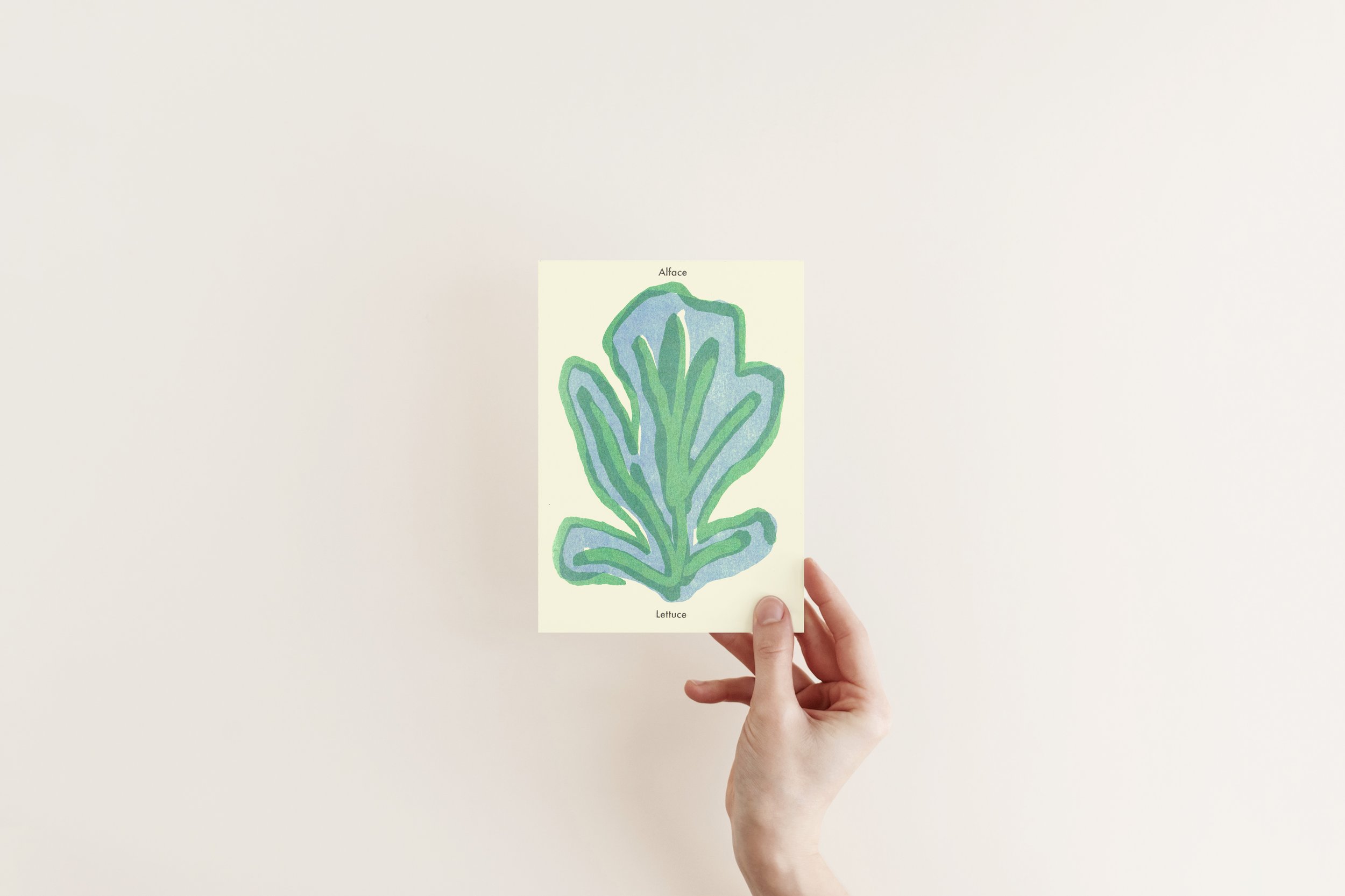 lettuce-in-hand.jpg