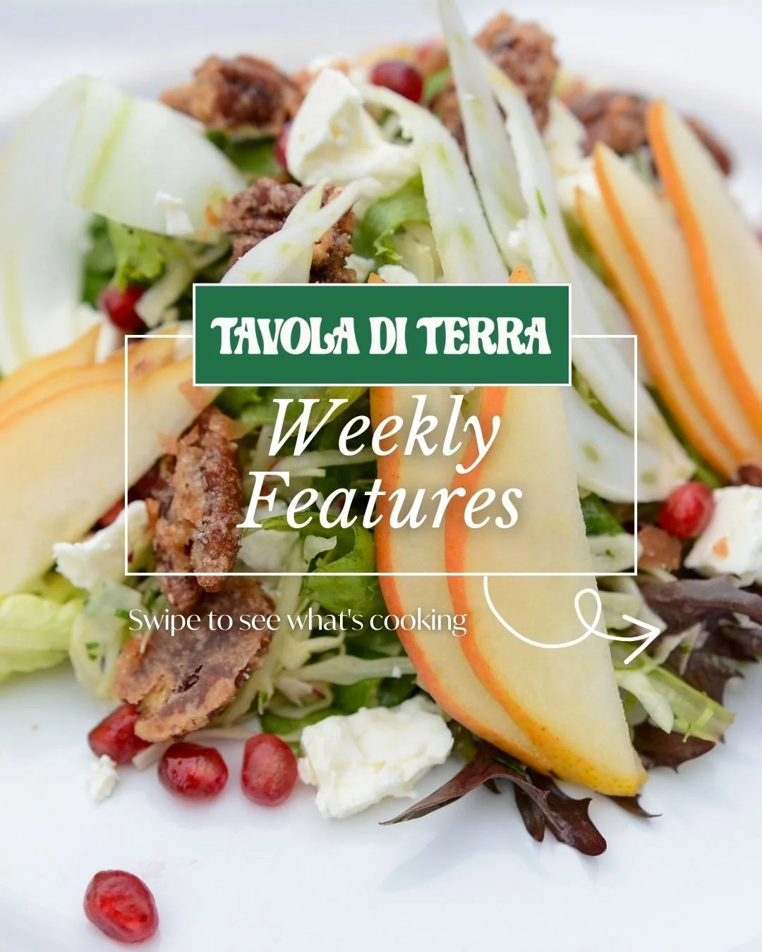 New menu drop for February 27th pickup! 👀⁠
⁠
This week is full of comfort food to get you through the weekend!⁠
Feeling cheesy? Try our gourmet mac &amp; cheese, our famous chicken parmesan or fun filled panzerotti. But that's not all, swipe through