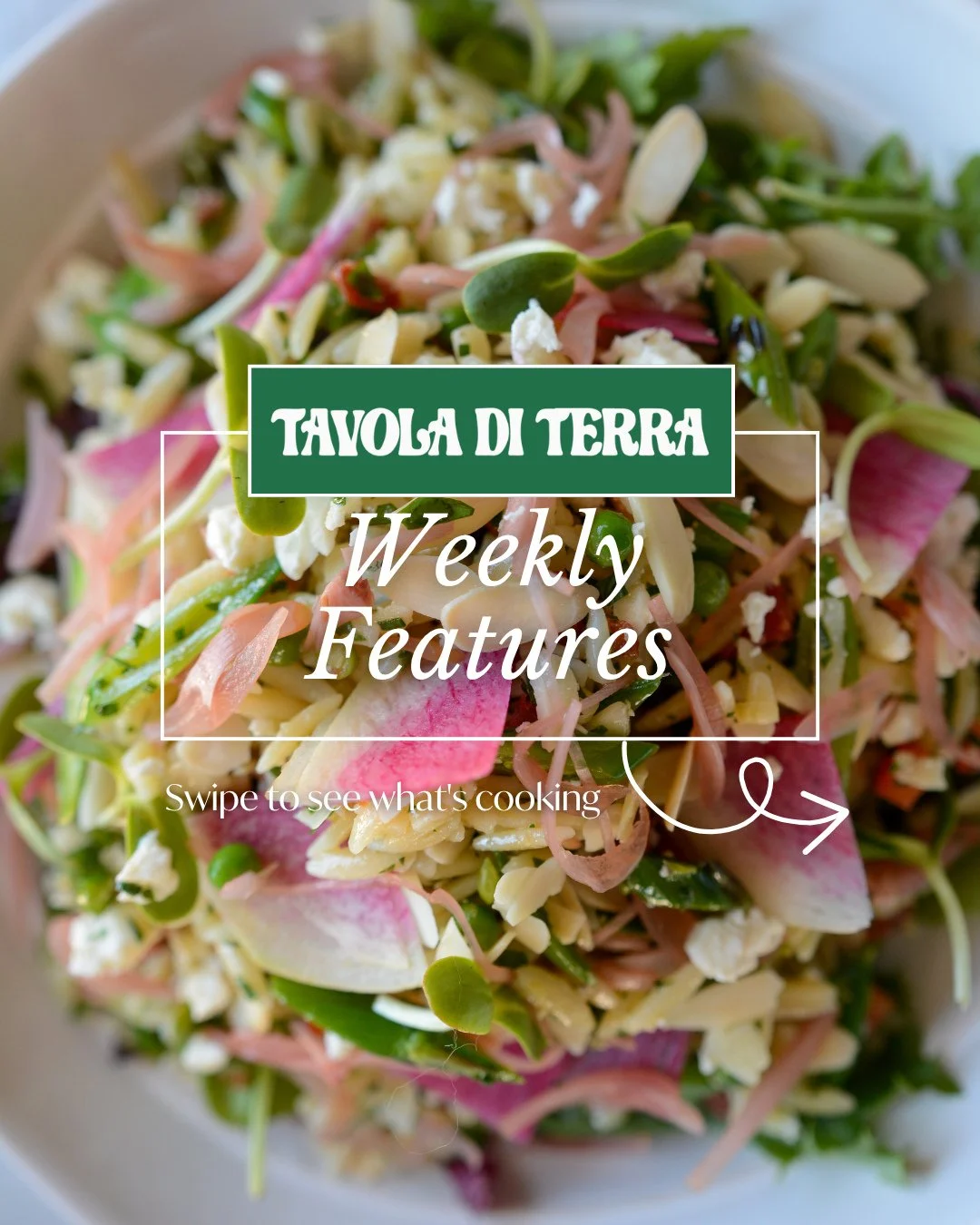 New menu drop for May 22nd pickup 👀⁠
⁠
Another week of comforting Italian favourites is here, made fresh from scratch and ready for your weekend plans. This week&rsquo;s menu features dishes like our Chicken Cacciatore and hearty Braised Beef Lasagn