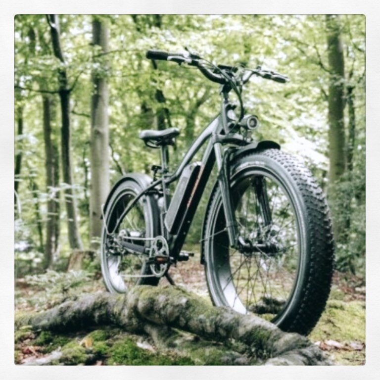 Our new R A D R H I N O was designed for a versatile lifestyle. 
Ride through villages or skip the bike path and challenge the fat tyre capabilities on the trail. Perfect fat bike tyres for our North Norfolk terrain and so much fun.

................