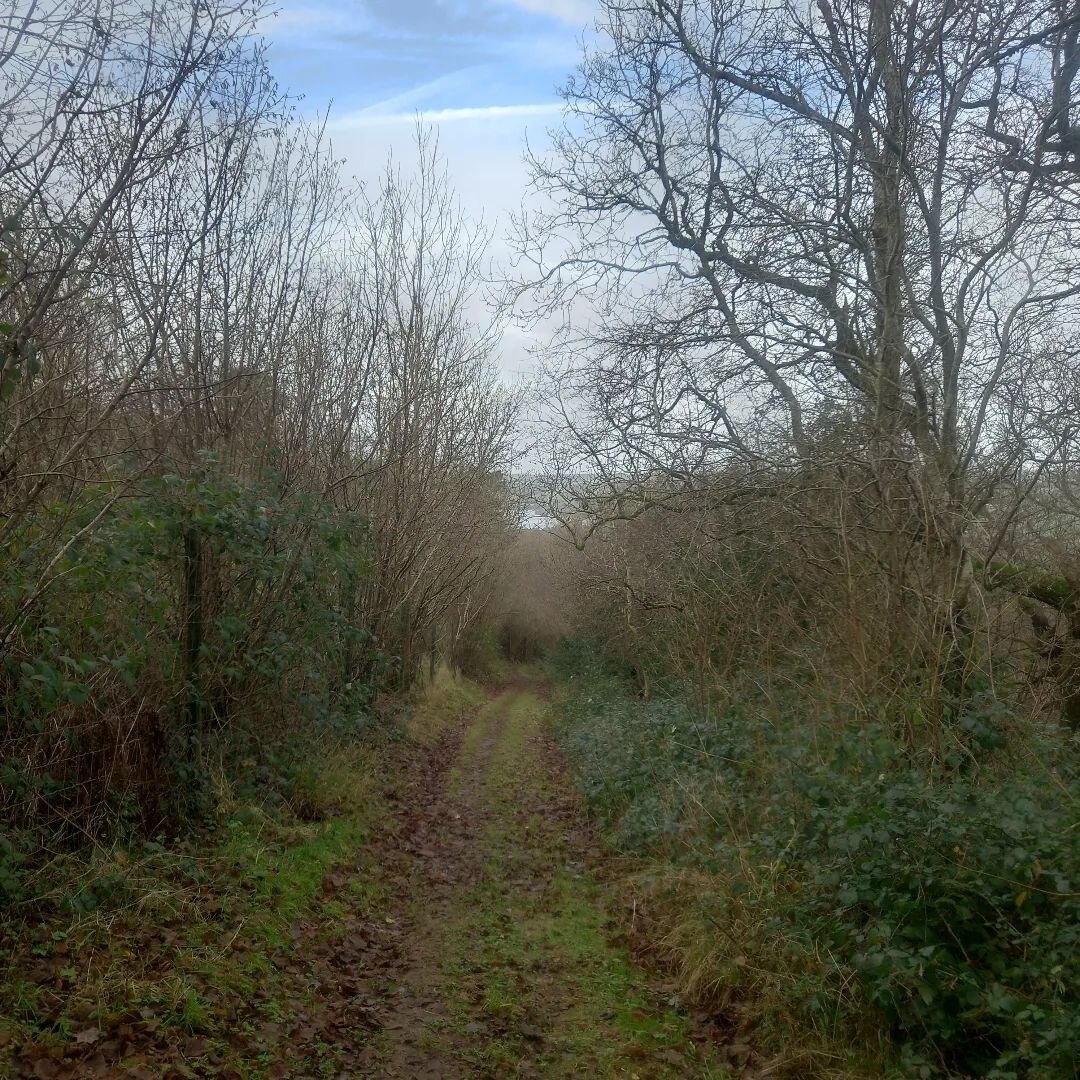 Mendip walking. #mendiphills #nature #naturewalks #walks