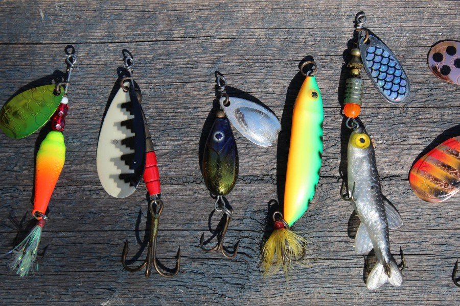 Don't Take The Bait — Jeff Bajorek  Sales, Prospecting, and Leadership  Expertise