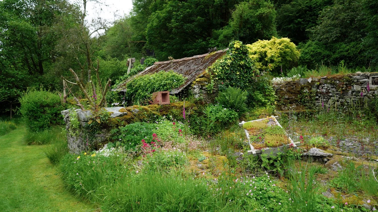 Wendy Earle | Out There | Short Documentary