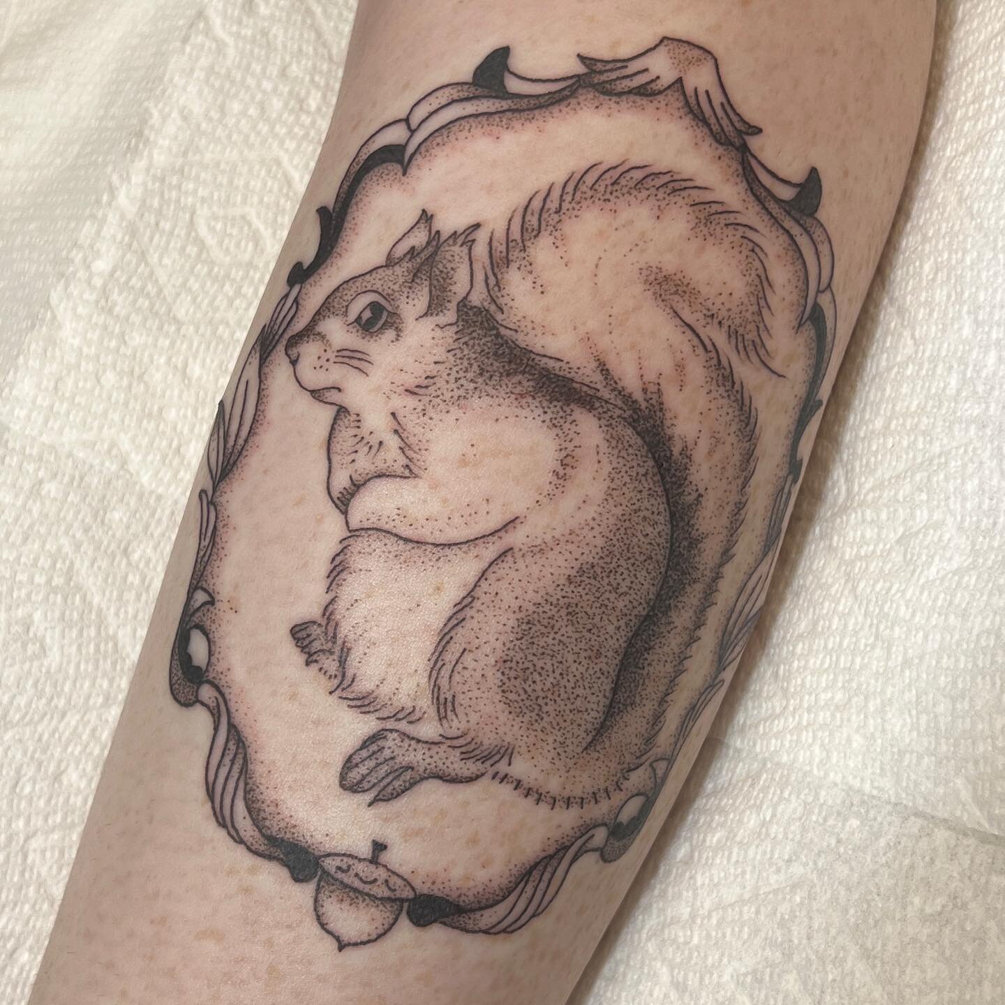 Dotwork squirrel for Katie. Thanks for looking!

#bostontattoo #bostontattooartist #dotworktattoo #squirreltattoo #wildlifetattoo #illustrativetattoo #blackandgreytattoo #qttr #queertattooartist